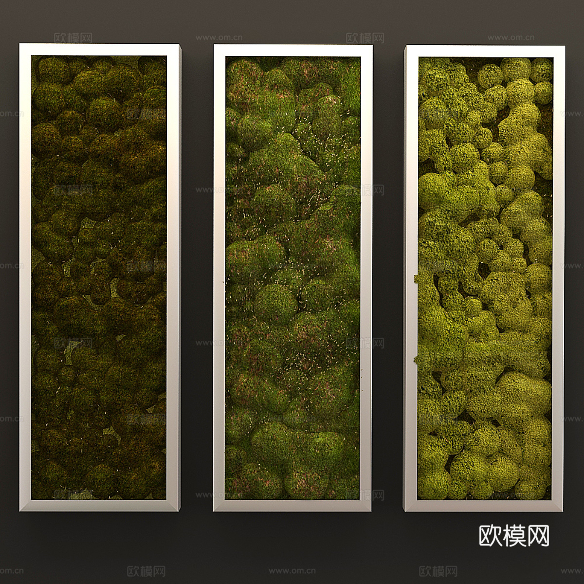 植物墙 苔藓墙 微景观墙面 植物墙3d模型