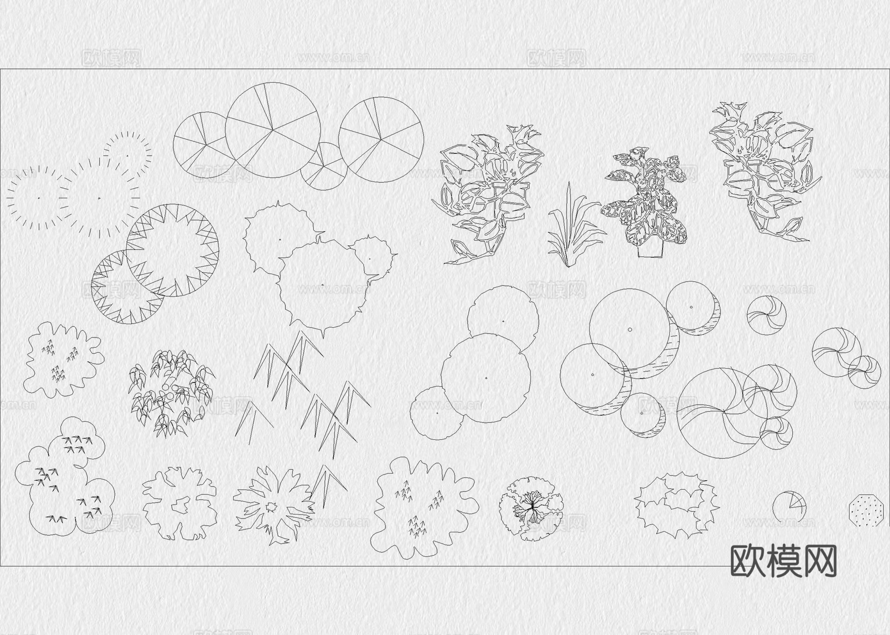 绿植 植物 绿植平面 树木 盆栽 灌木cad施工图