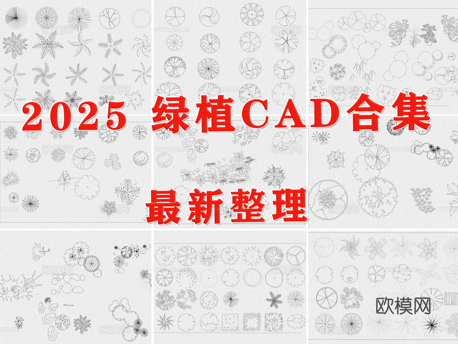 绿植 植物 绿植平面 树木 盆栽 灌木cad施工图
