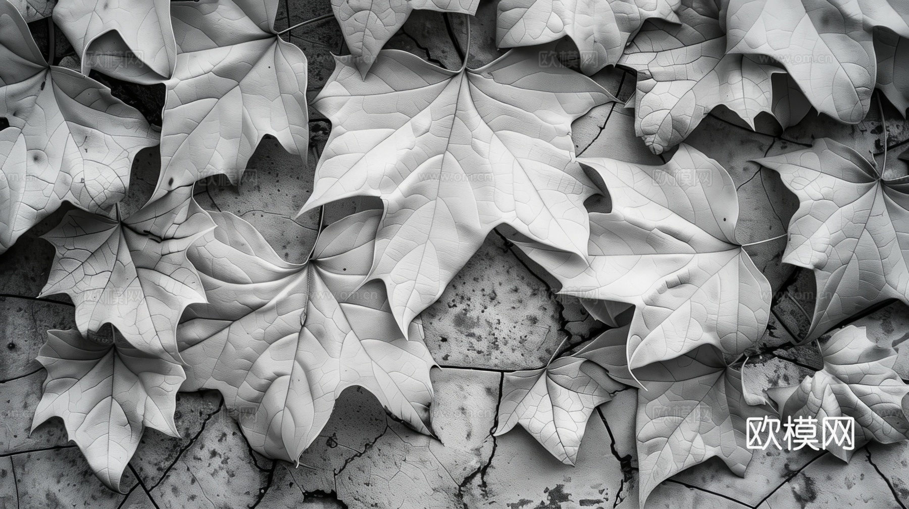 3D浮雕立体砖墙背景下载（渲染图4）