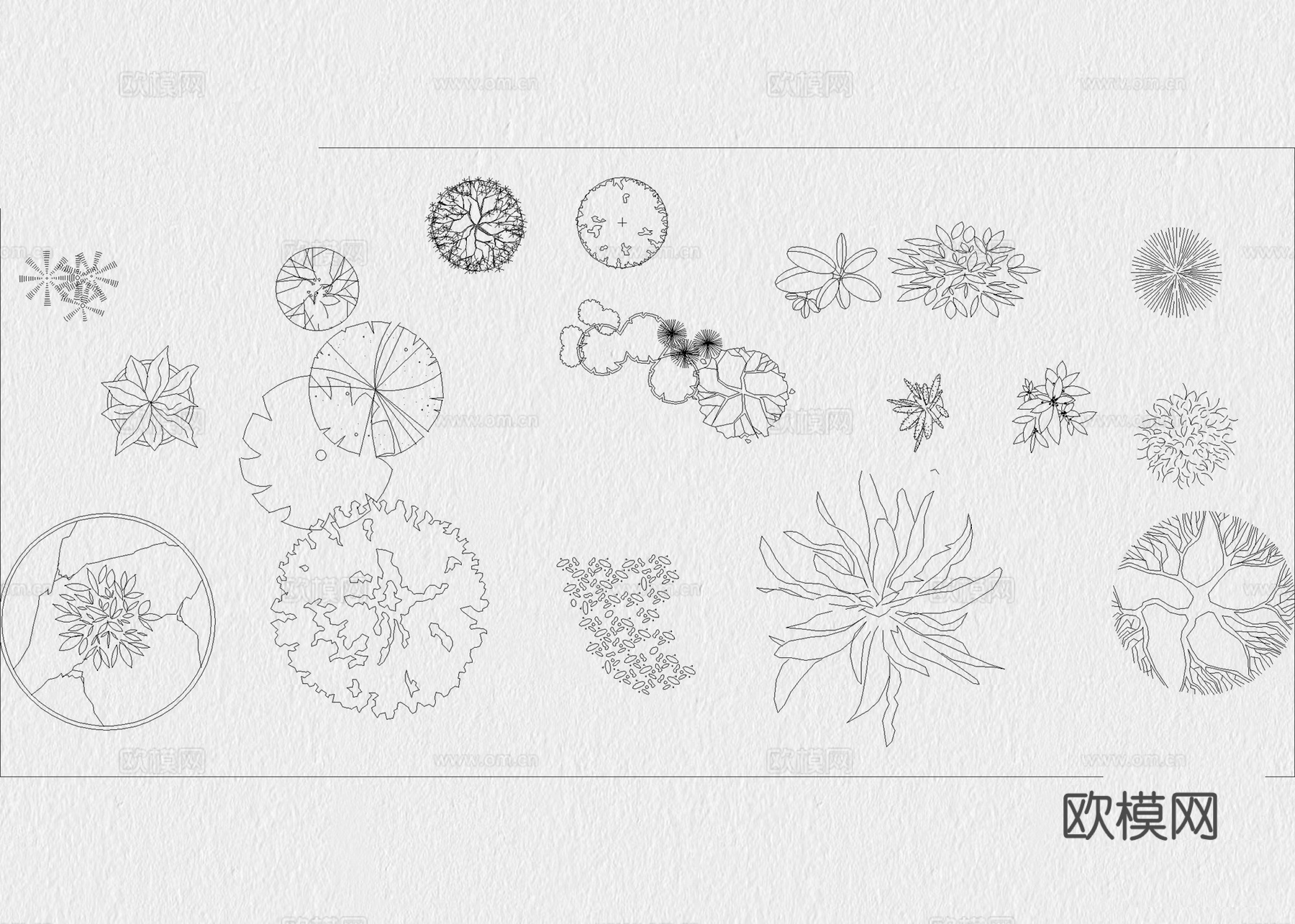 绿植 植物 绿植平面 树木 盆栽 灌木cad施工图