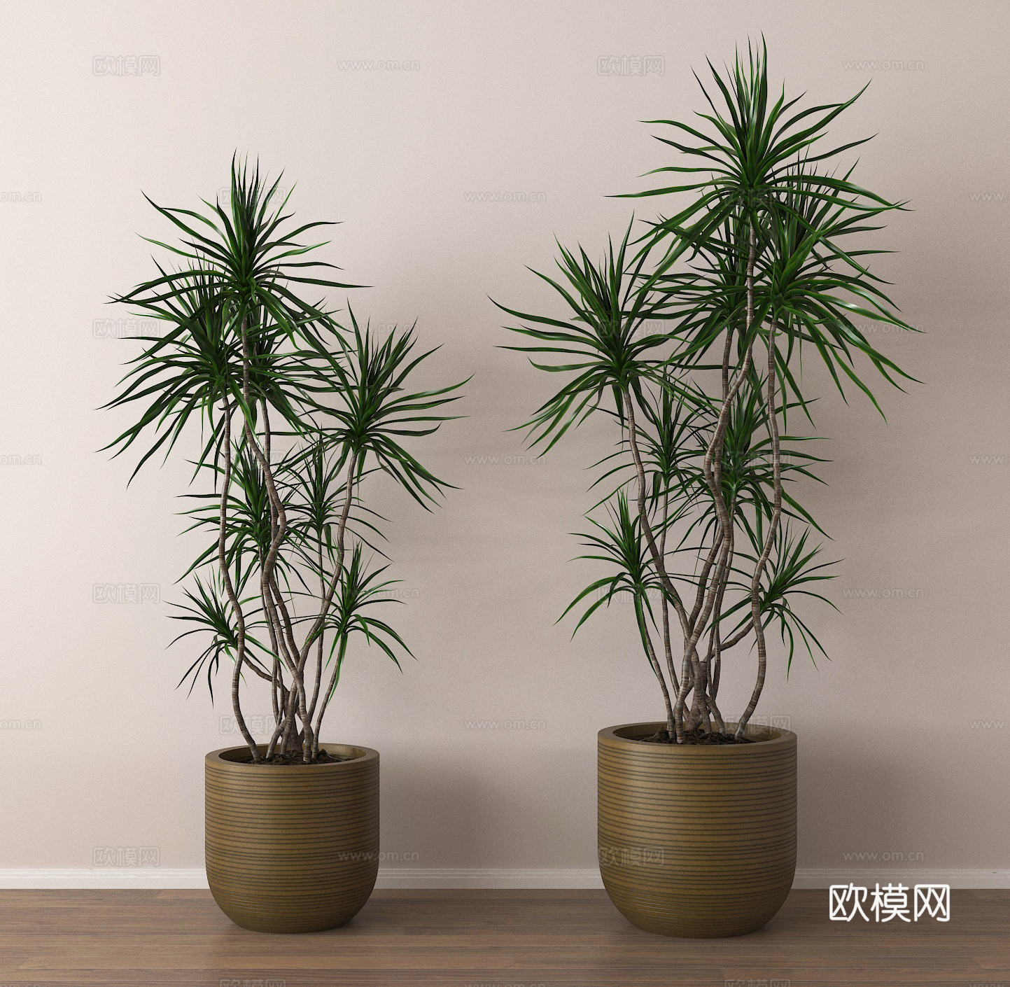 绿植 植物 盆栽 盆景su模型