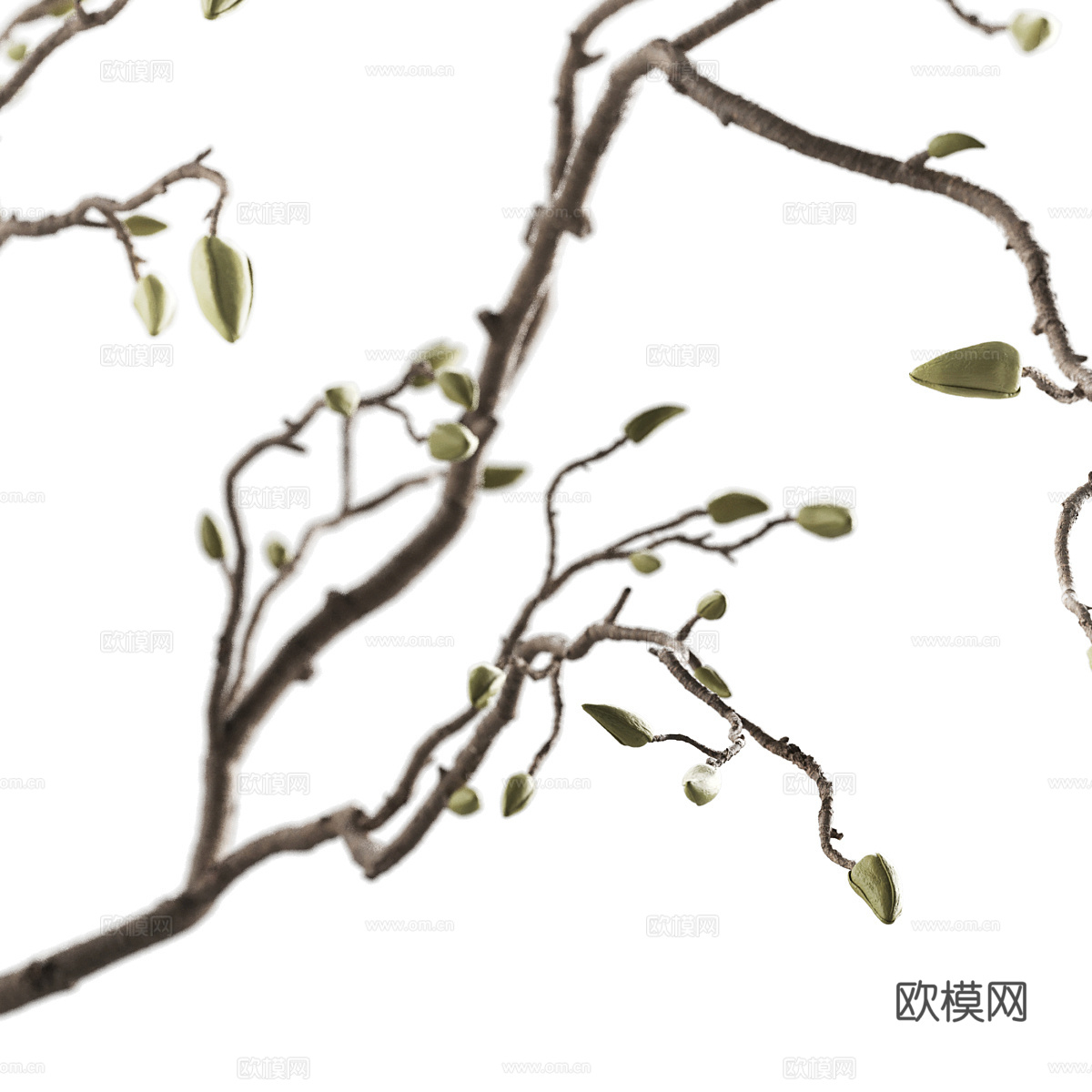 现代极简花瓶花艺3d模型3d模型