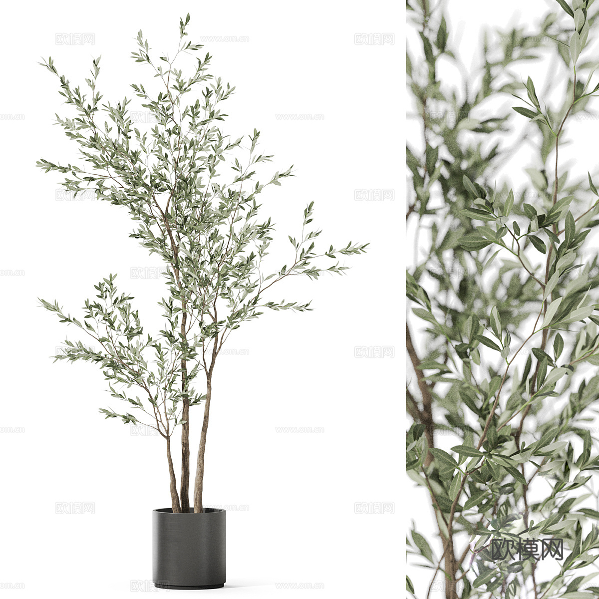 花瓶花卉3d模型