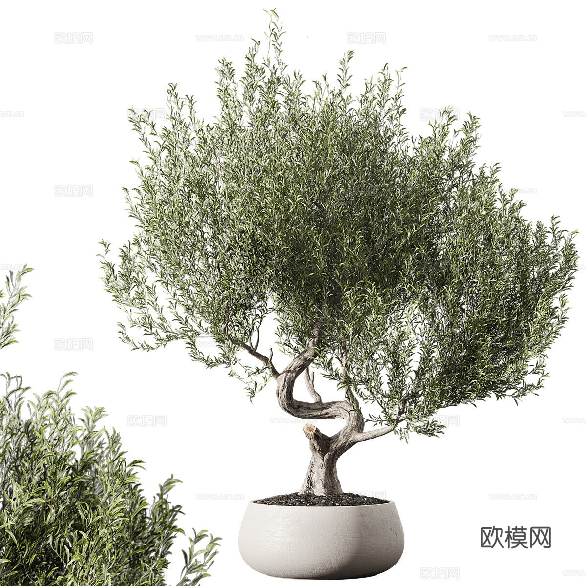 新中式绿植盆栽3d模型