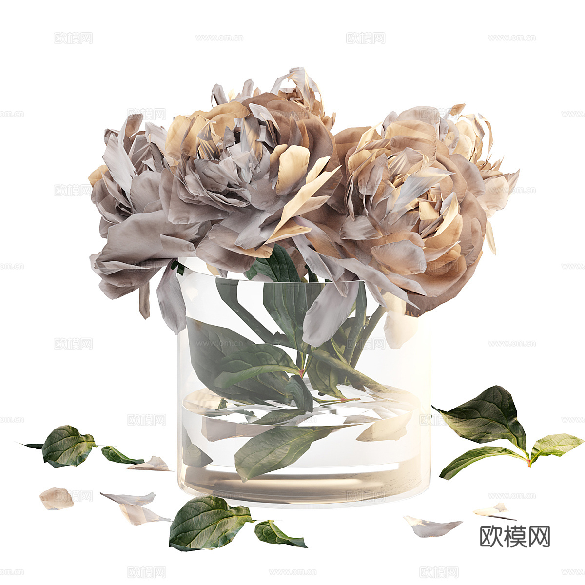 玻璃花瓶中的一束牡丹3d模型