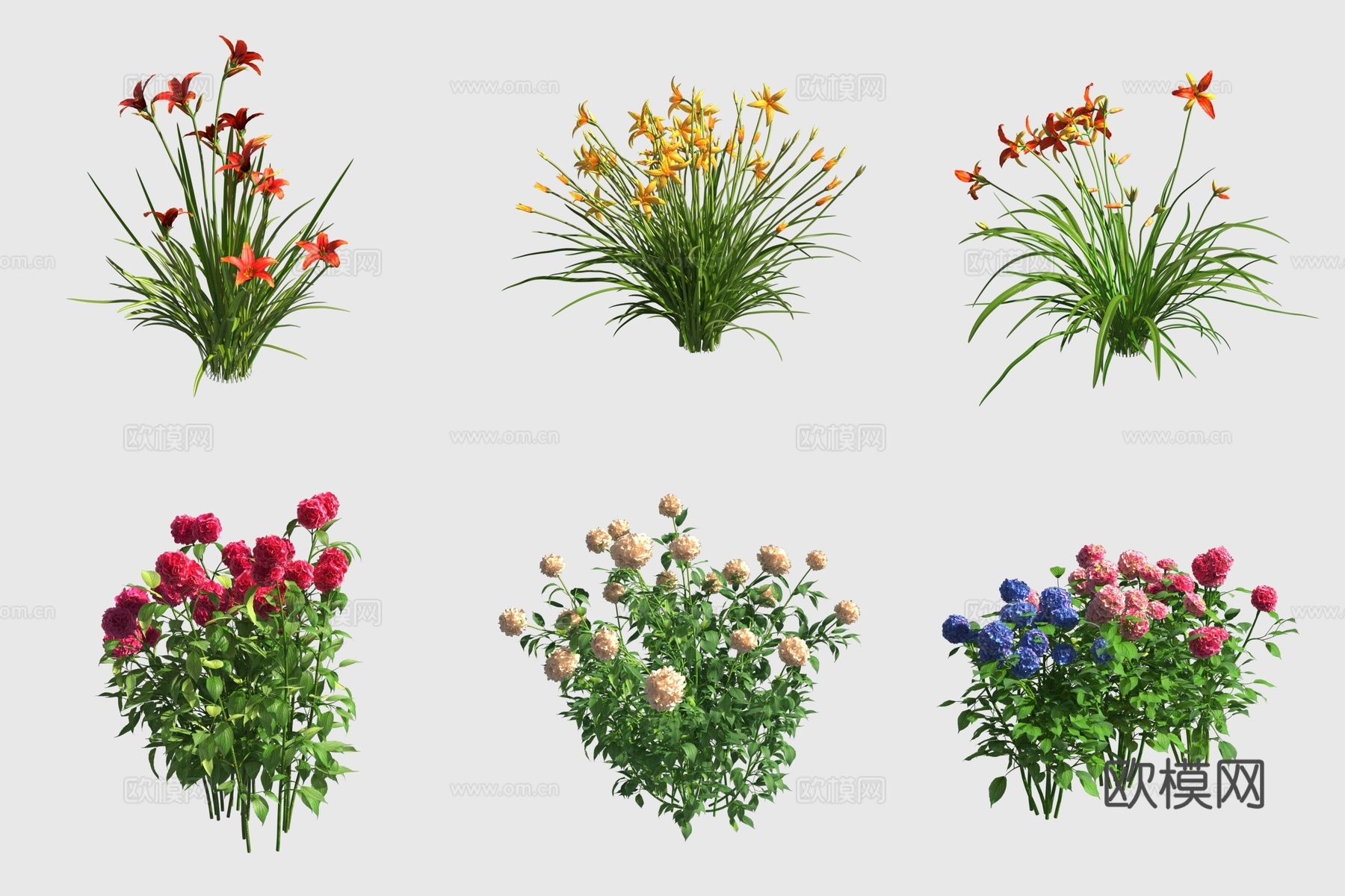 萱草龙头花百合绣球花花草3d模型