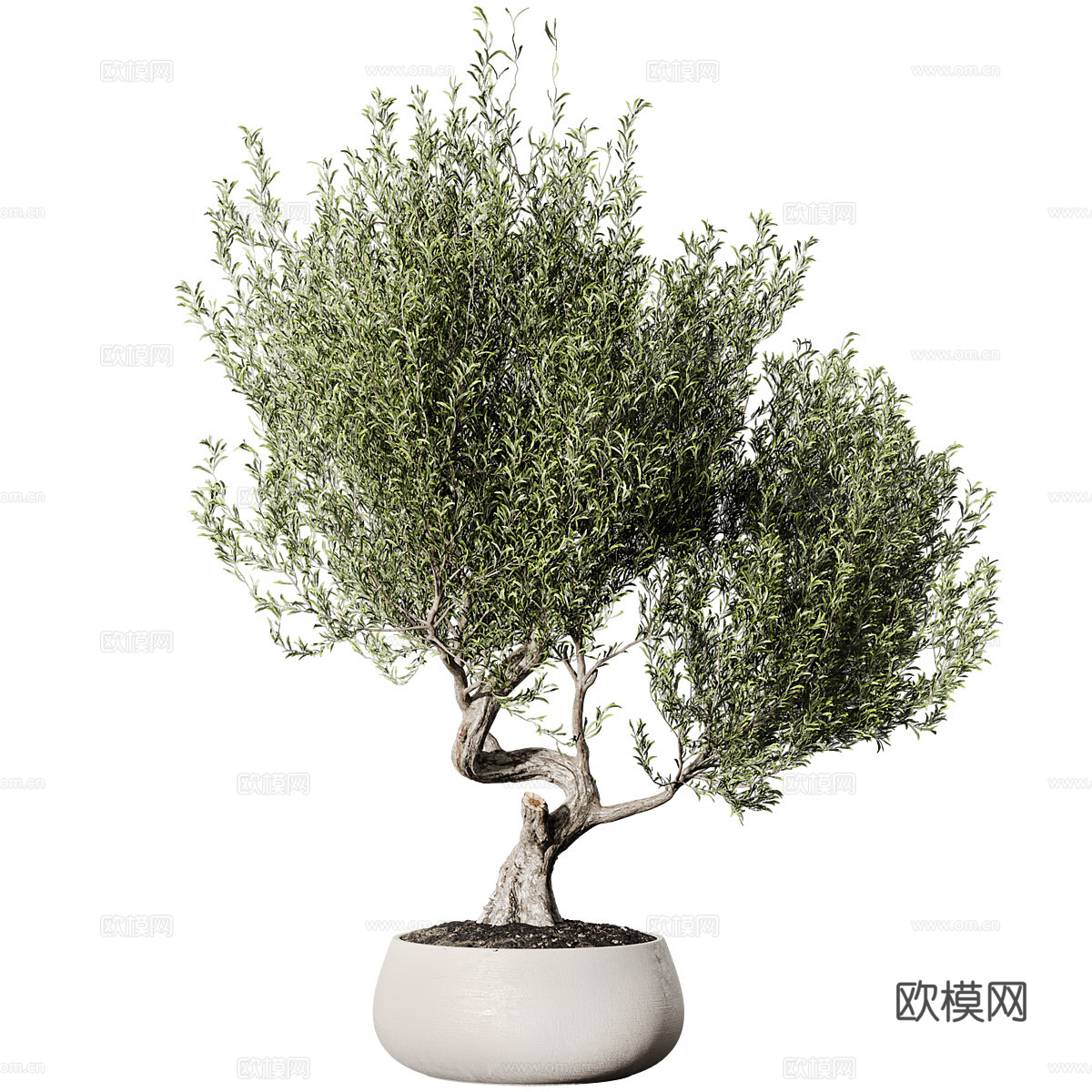 新中式绿植盆栽3d模型
