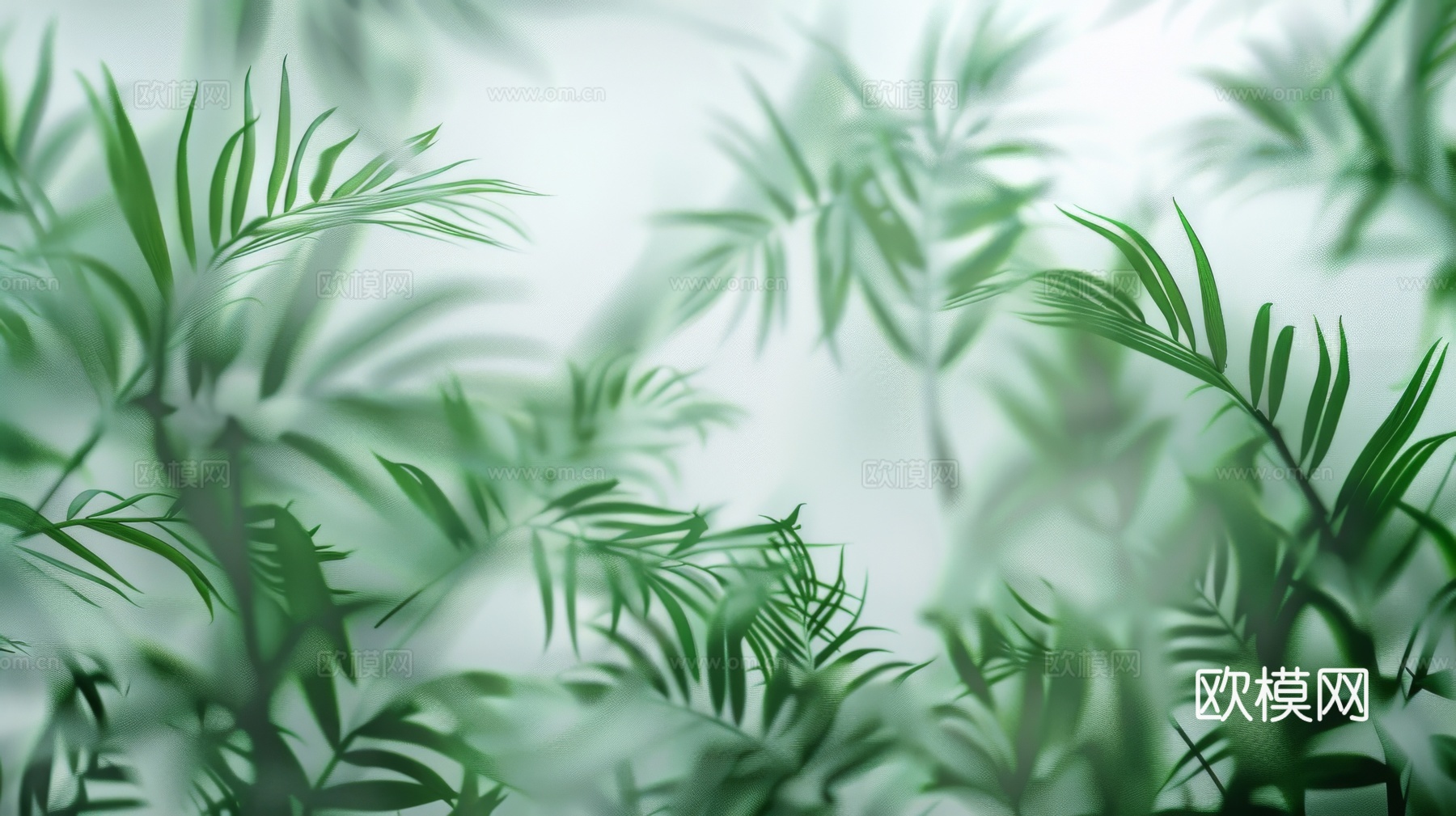 夹丝磨砂玻璃幕墙植物隔断下载（渲染图8）