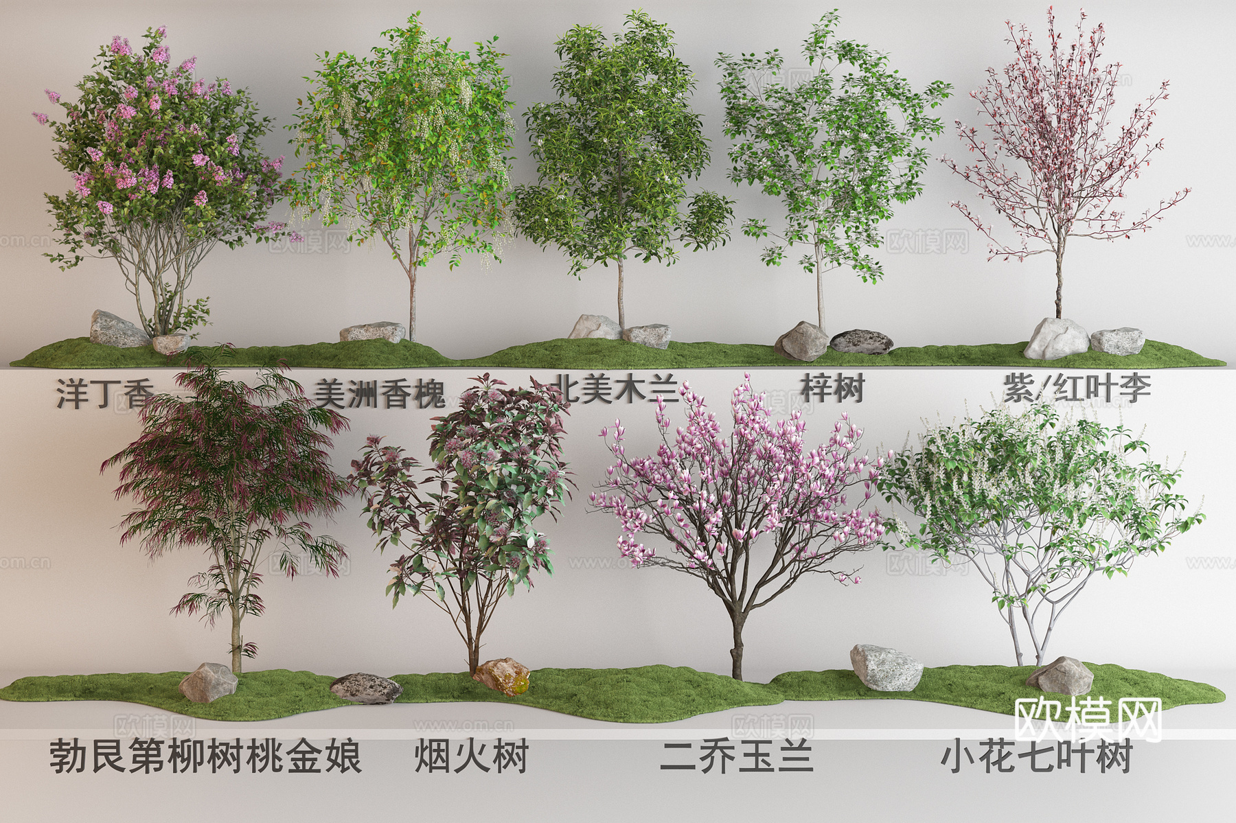 现代花树植物组合 梓树 洋丁香 美洲香槐 烟火树 北美木兰树su模型