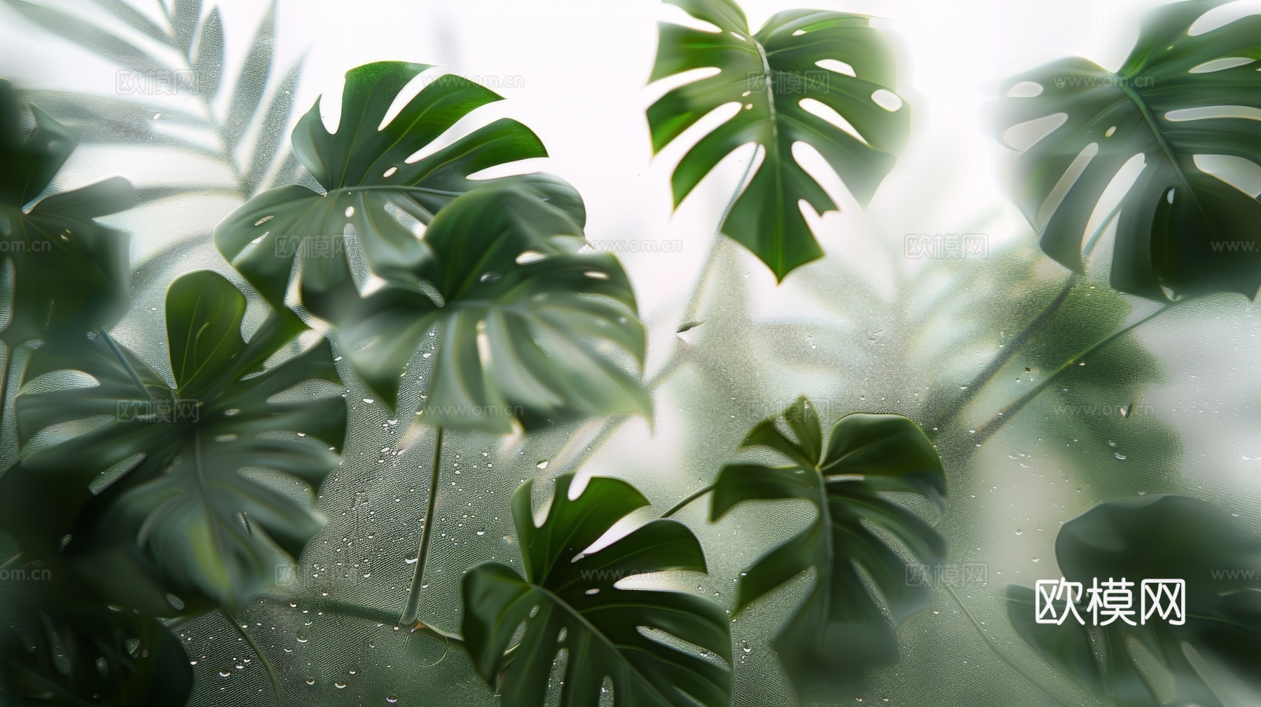 夹丝磨砂玻璃幕墙植物隔断