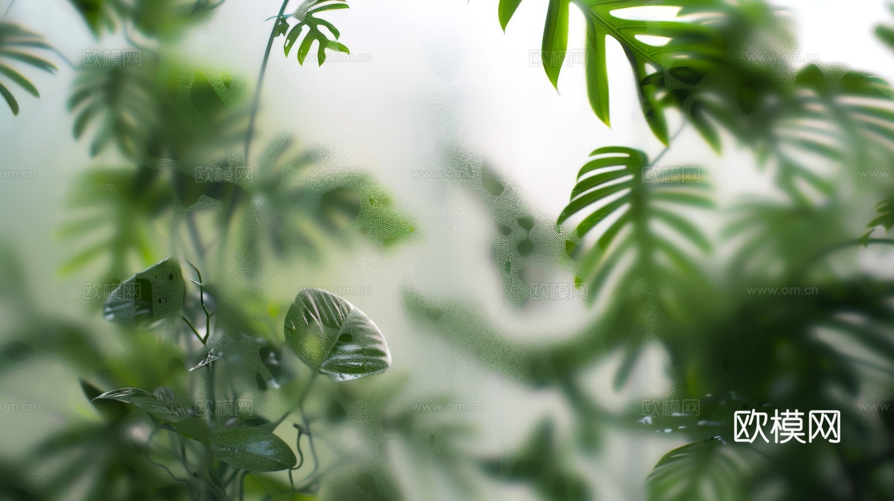 夹丝磨砂玻璃幕墙植物隔断下载（渲染图8）