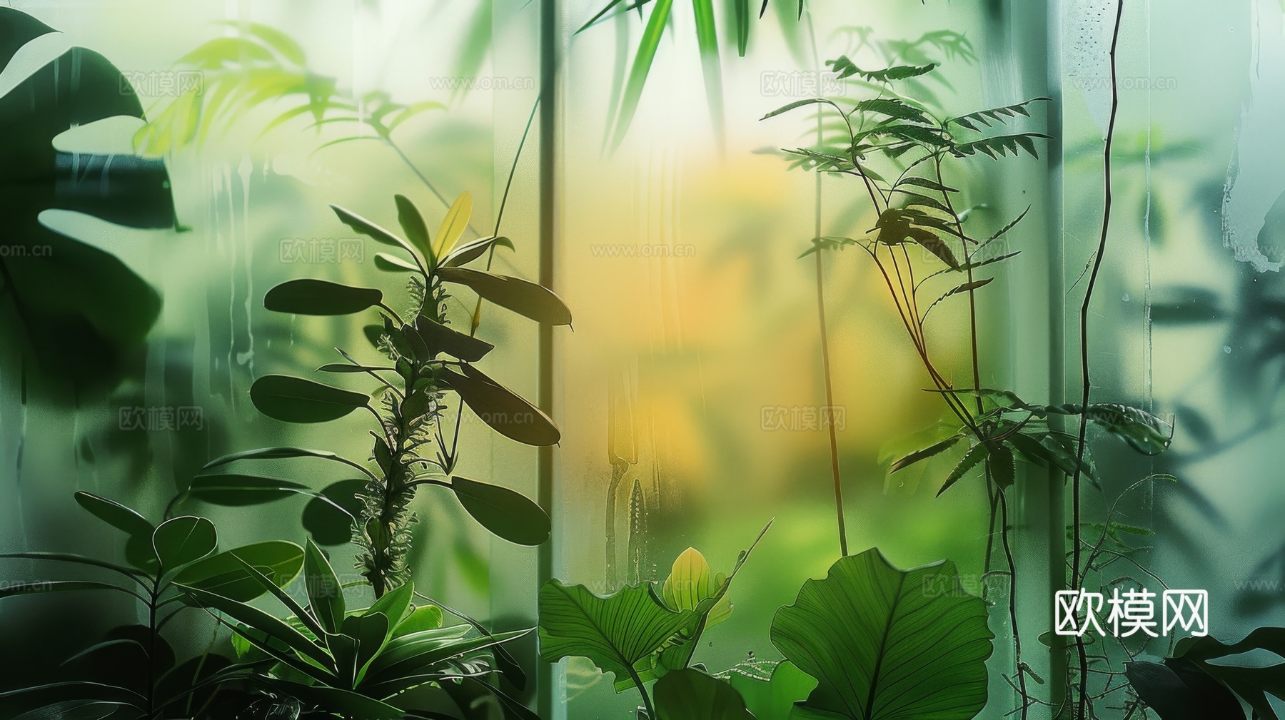 夹丝磨砂玻璃幕墙植物隔断