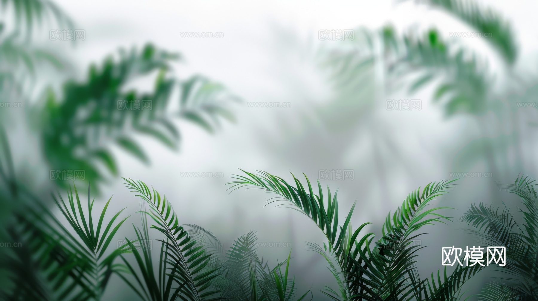 夹丝磨砂玻璃幕墙植物隔断