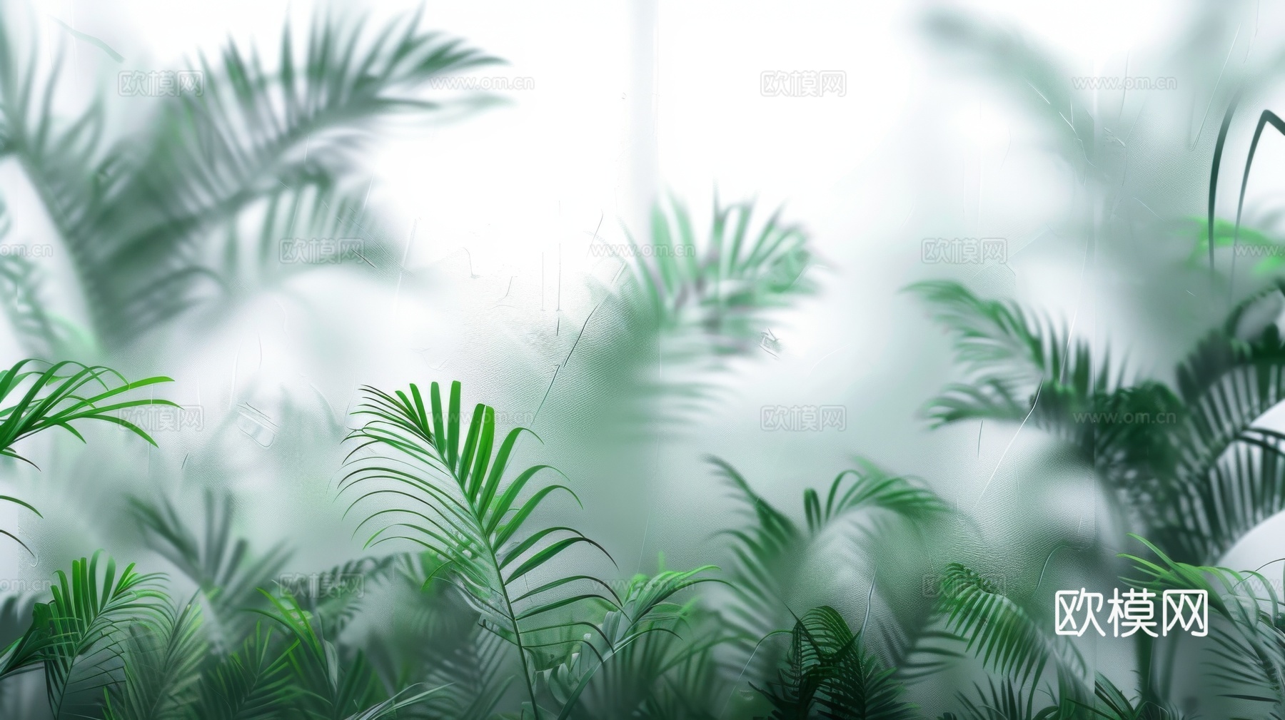 夹丝磨砂玻璃幕墙植物隔断