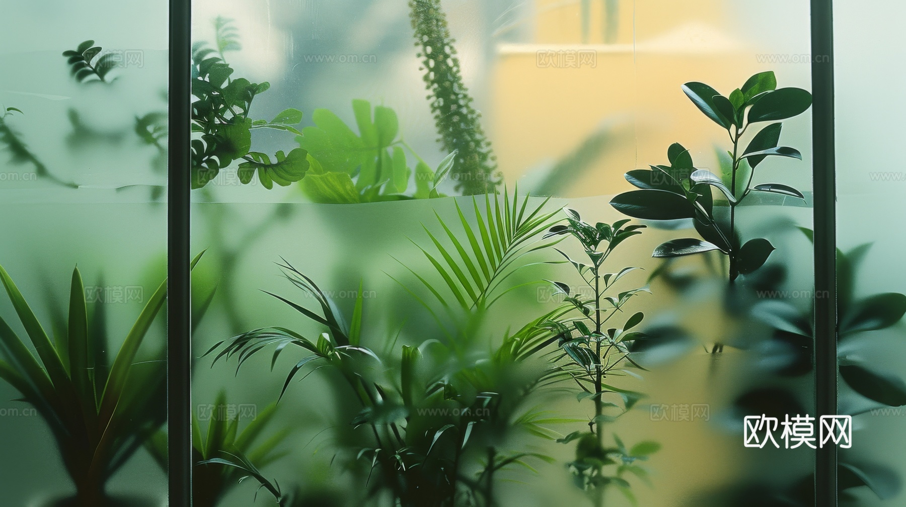 夹丝磨砂玻璃幕墙植物隔断下载（渲染图2）