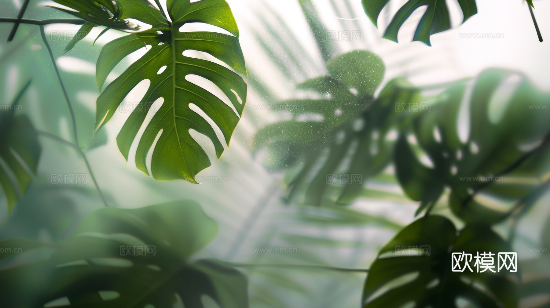 夹丝磨砂玻璃幕墙植物隔断下载（渲染图2）