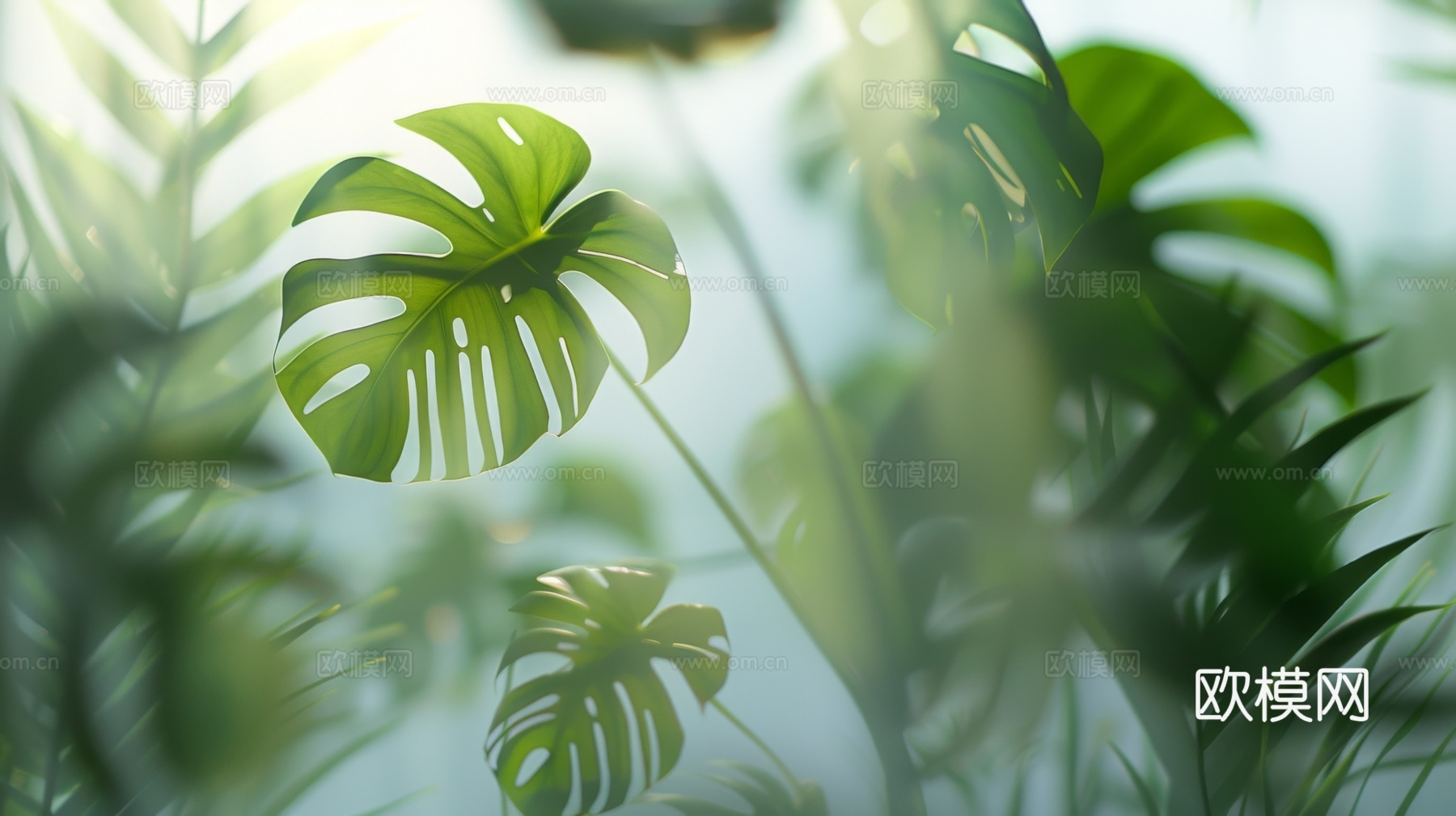 夹丝磨砂玻璃幕墙植物隔断下载（渲染图7）