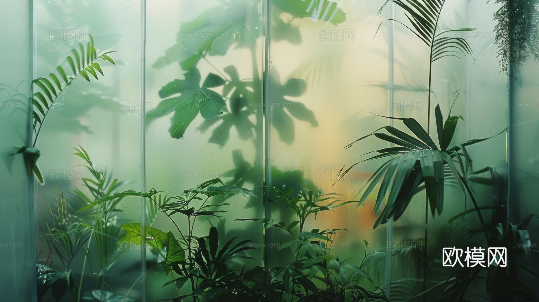 夹丝磨砂玻璃幕墙植物隔断下载（渲染图6）