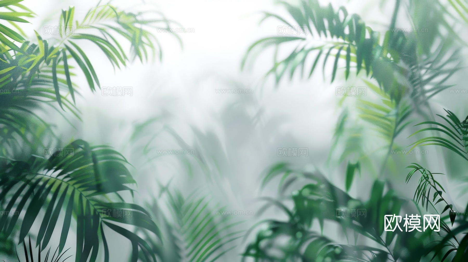 夹丝磨砂玻璃幕墙植物隔断下载（渲染图2）