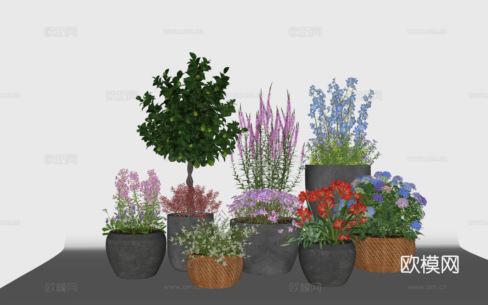 现代绿植盆栽组合 花盆 盆景 盆栽 花卉 蓝紫绣球花 风铃花su模型