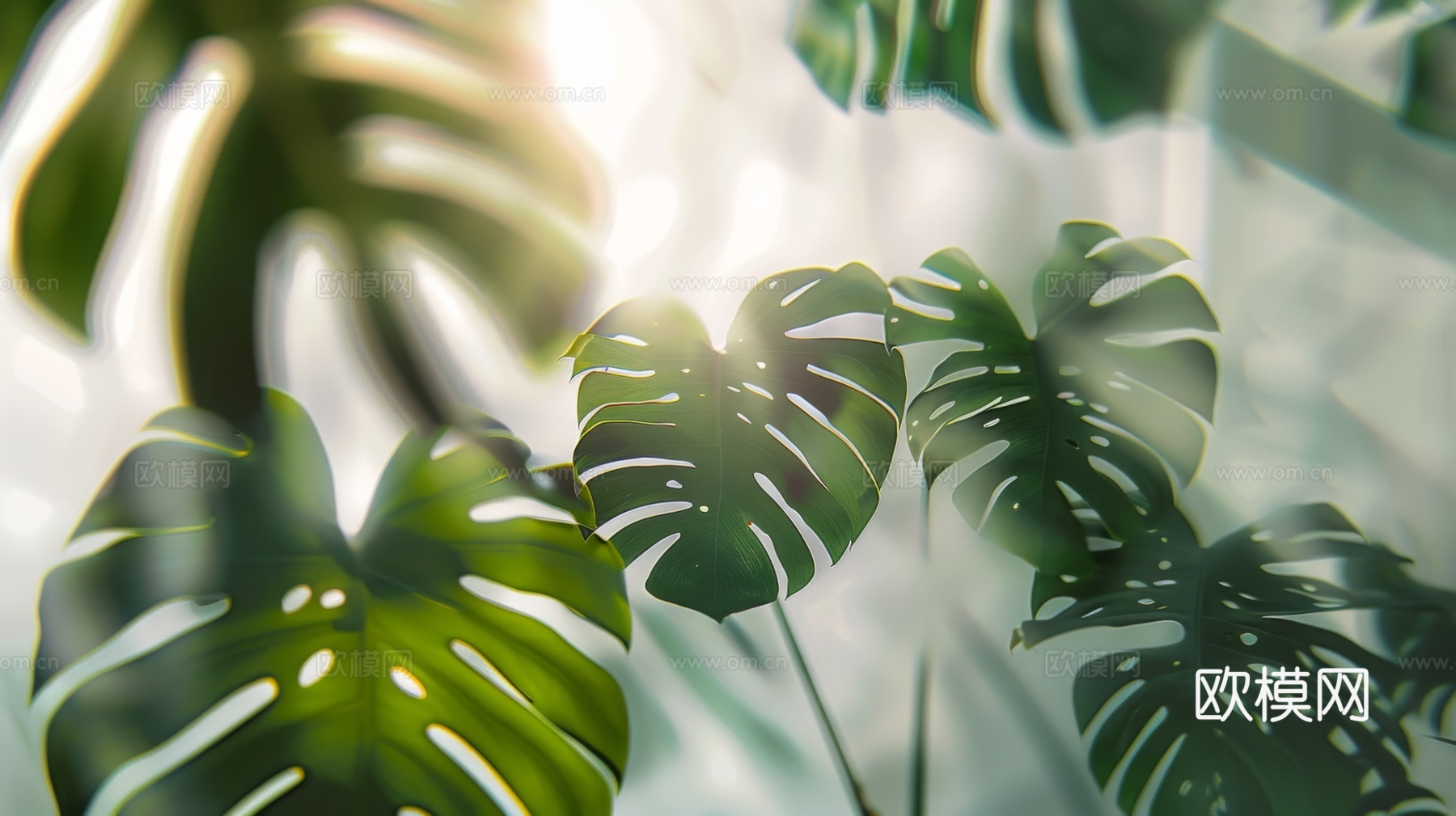 夹丝磨砂玻璃幕墙植物隔断