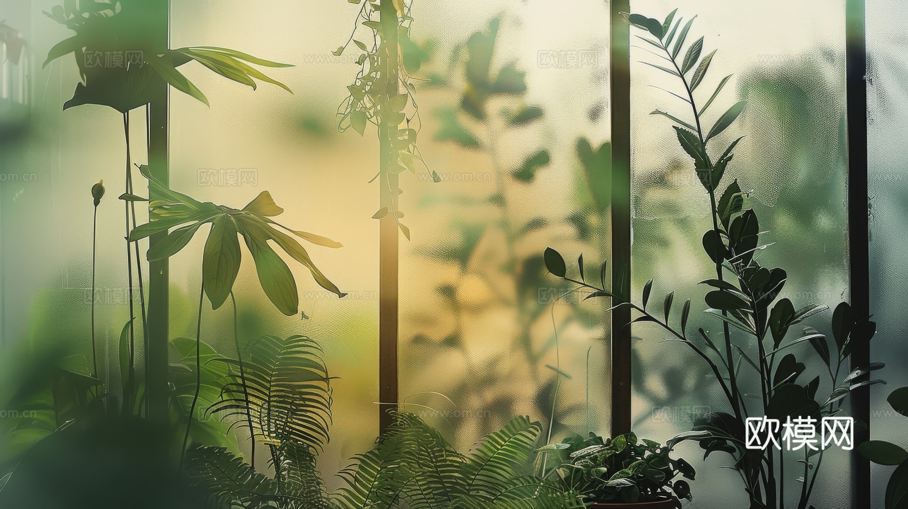 夹丝磨砂玻璃幕墙植物隔断下载（渲染图5）