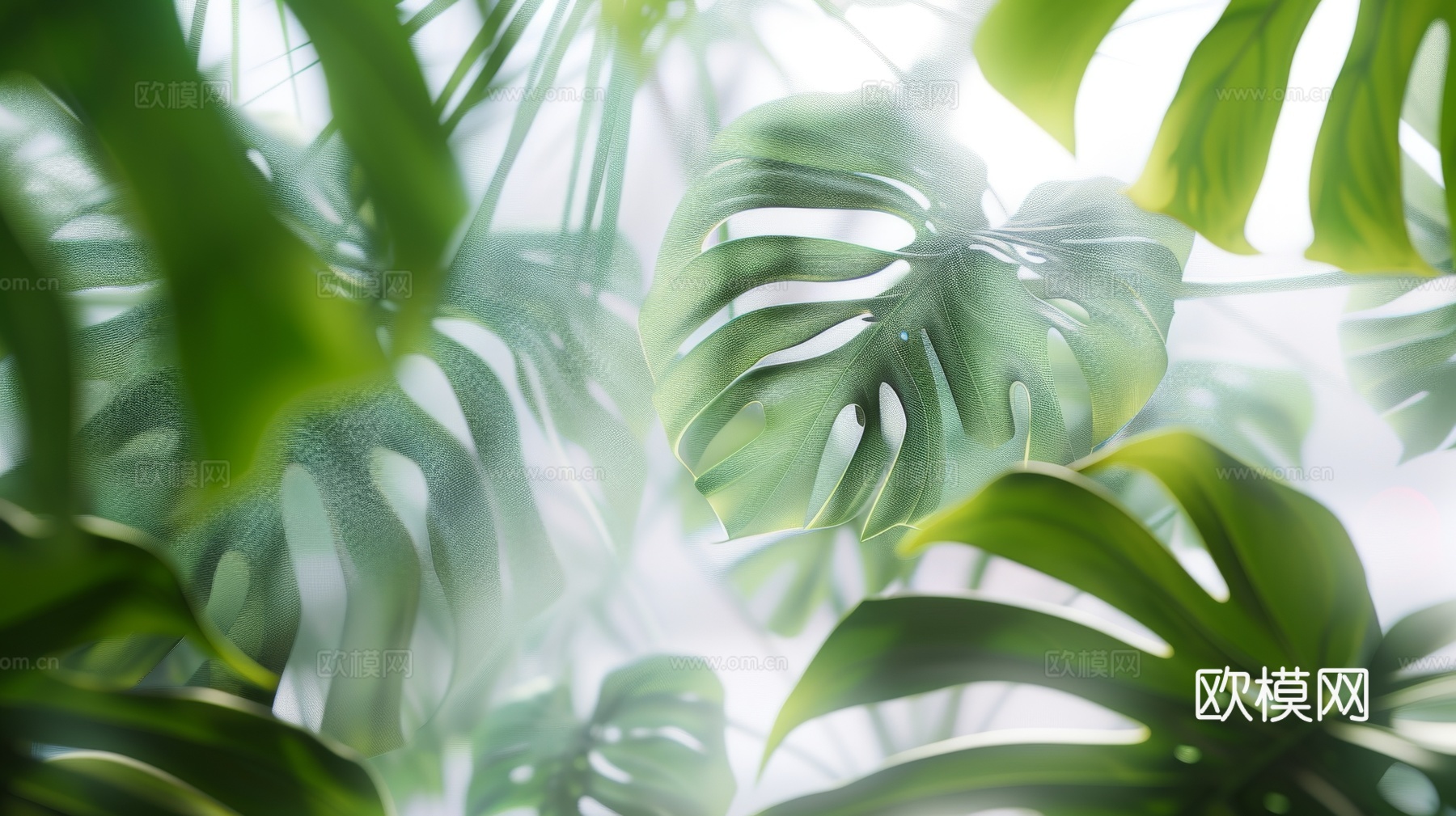 夹丝磨砂玻璃幕墙植物隔断