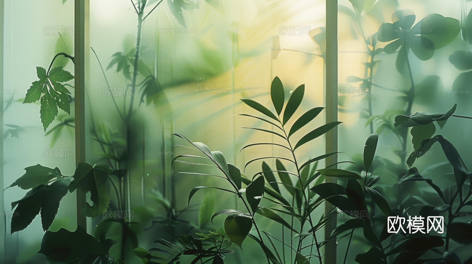 夹丝磨砂玻璃幕墙植物隔断