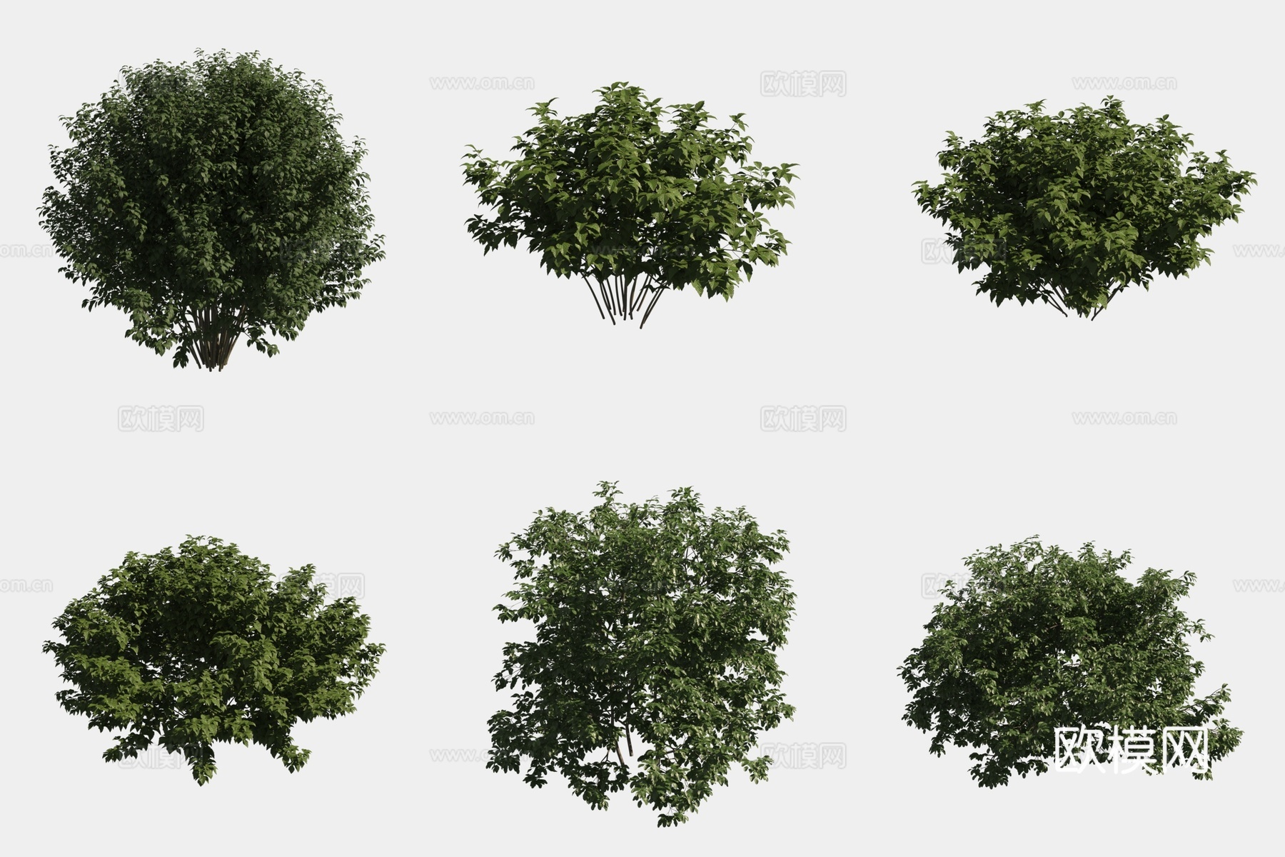 灌木球绿植组合3d模型