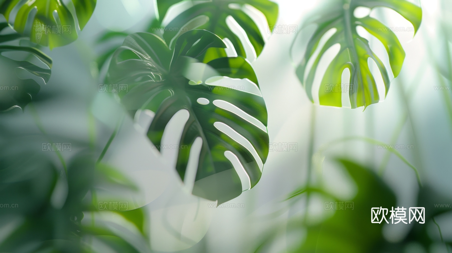 夹丝磨砂玻璃幕墙植物隔断