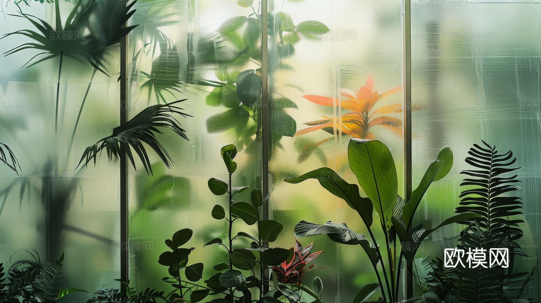 夹丝磨砂玻璃幕墙植物隔断下载（渲染图8）