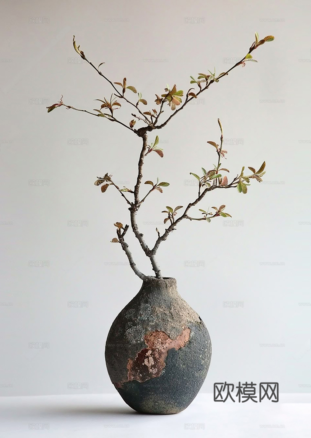盆栽 侘寂绿植 做旧花瓶 现代花瓶 干支3d模型
