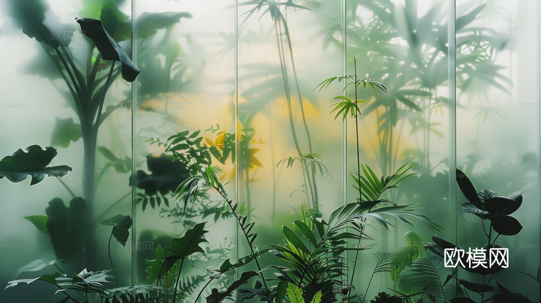 夹丝磨砂玻璃幕墙植物隔断下载（渲染图4）