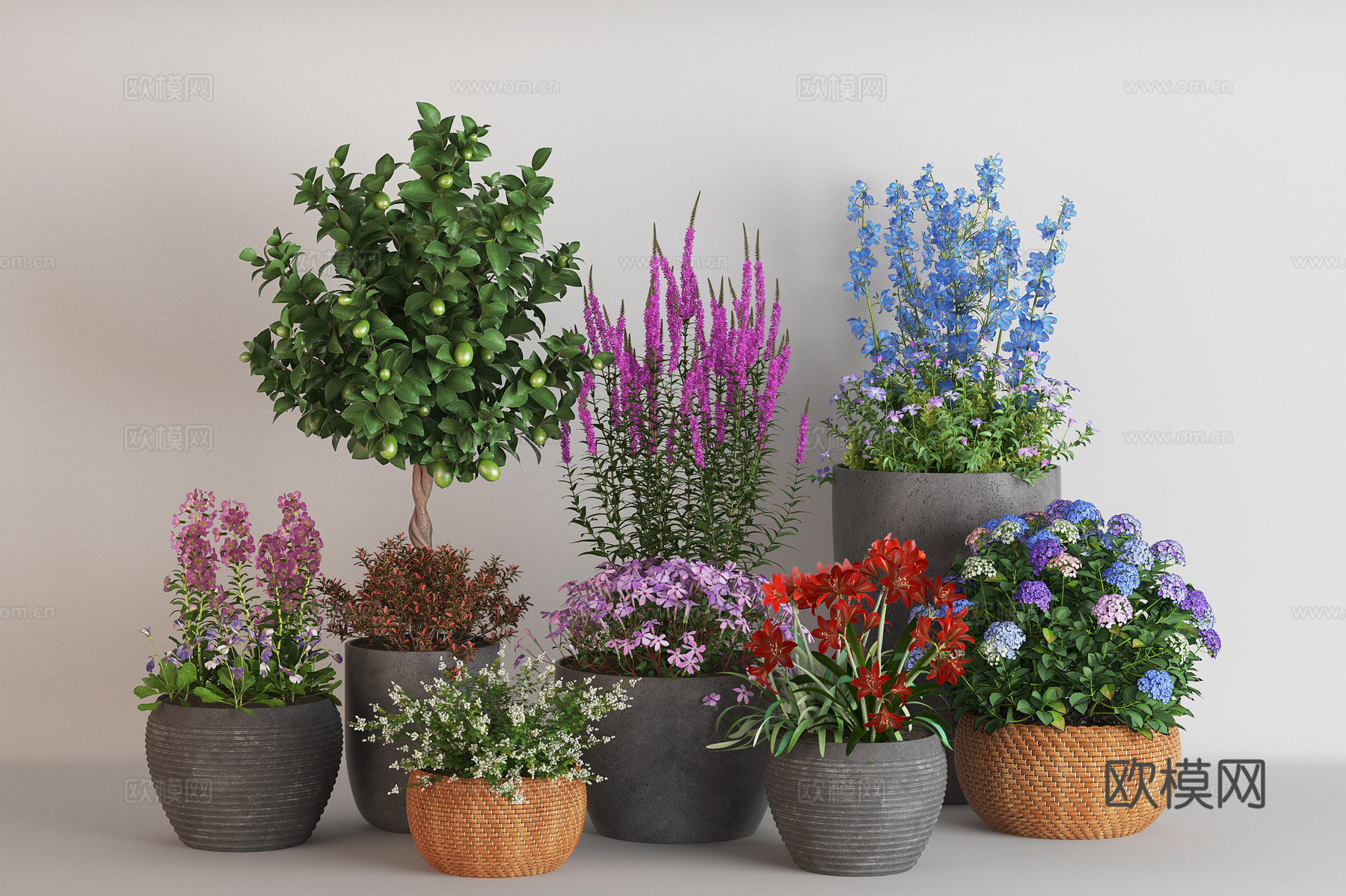 现代绿植盆栽组合 花盆 盆景 盆栽 花卉 蓝紫绣球花 风铃花su模型