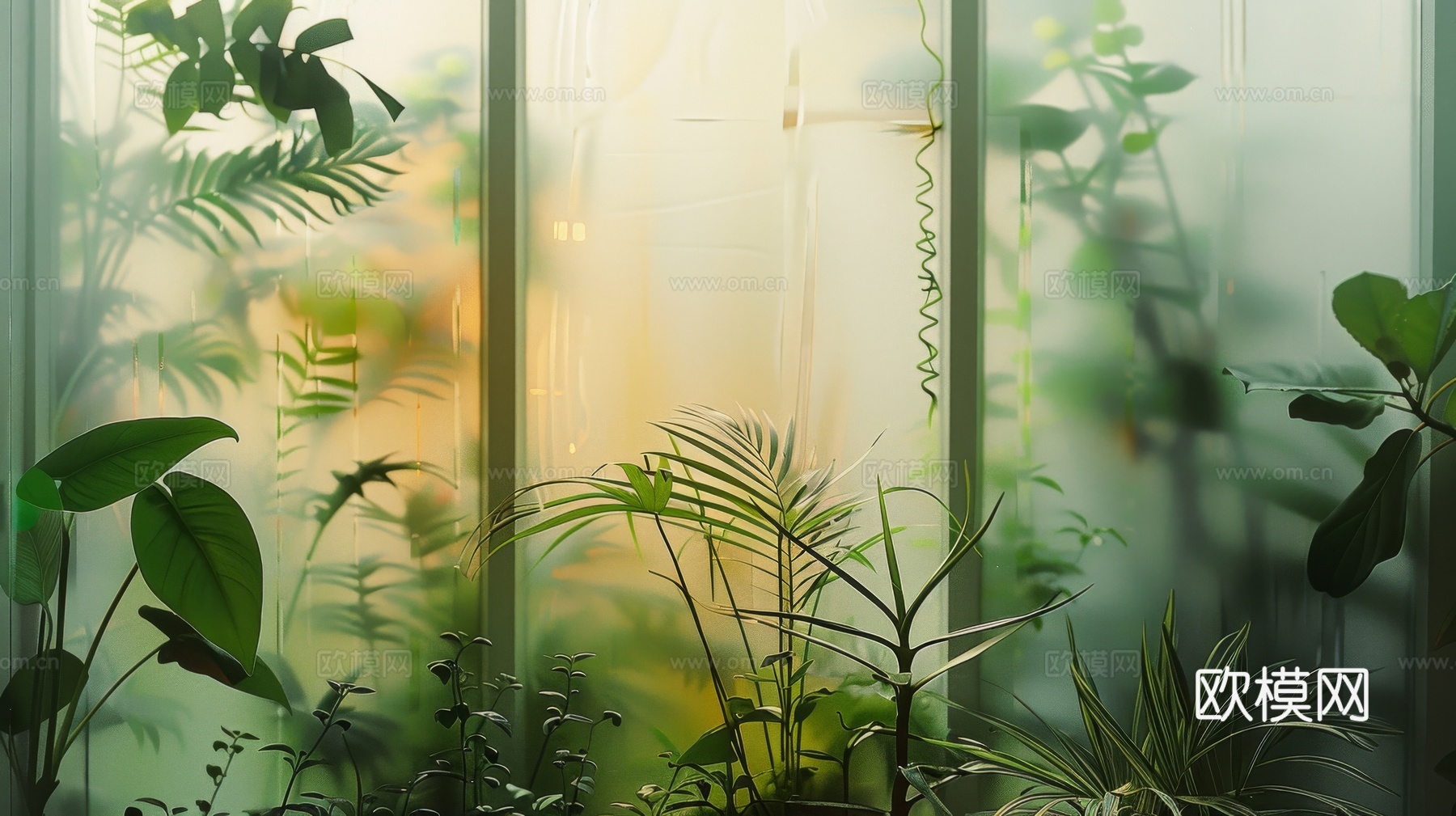 夹丝磨砂玻璃幕墙植物隔断下载（渲染图1）