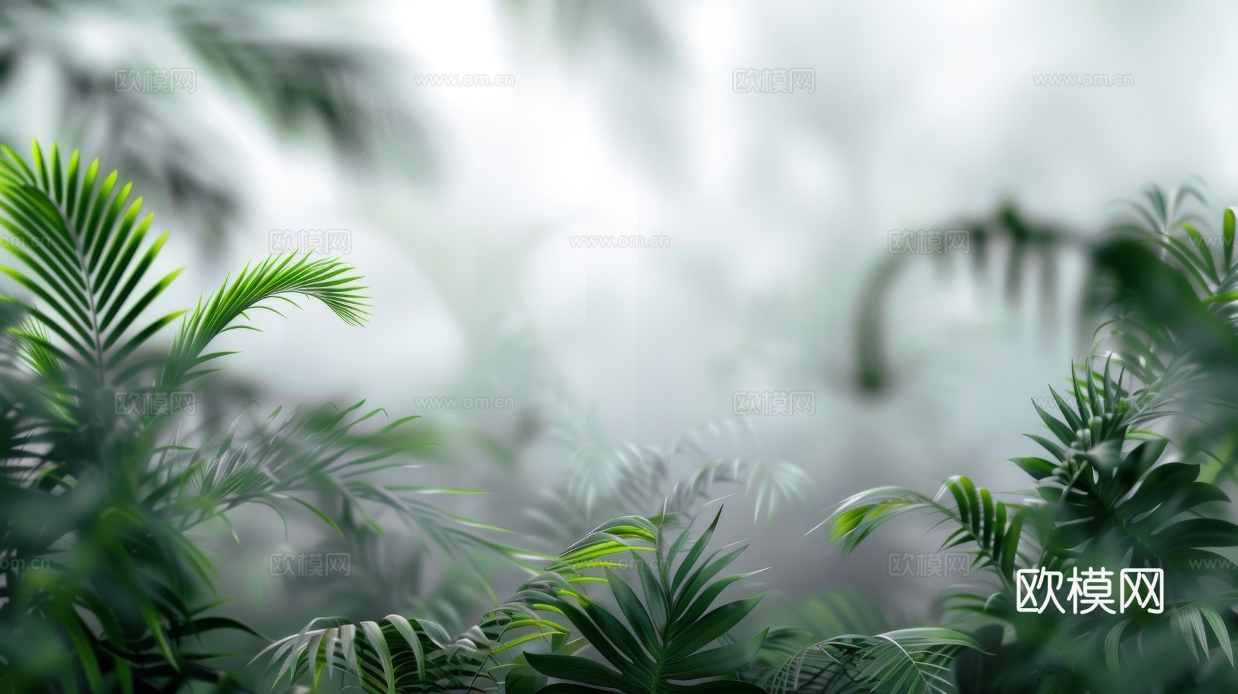 夹丝磨砂玻璃幕墙植物隔断