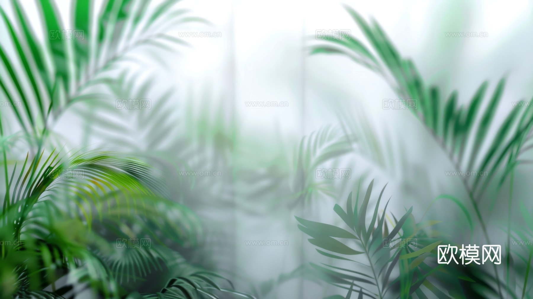 夹丝磨砂玻璃幕墙植物隔断