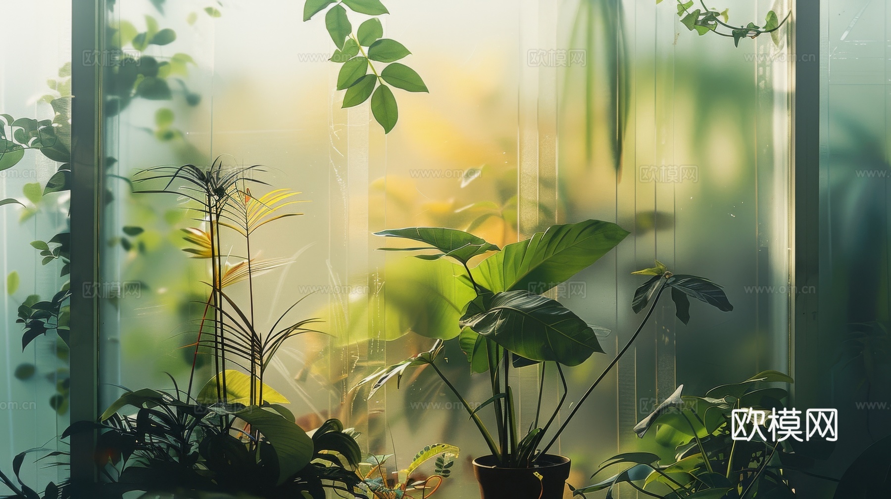 夹丝磨砂玻璃幕墙植物隔断下载（渲染图3）
