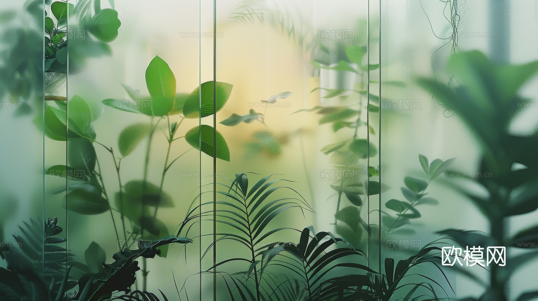 夹丝磨砂玻璃幕墙植物隔断