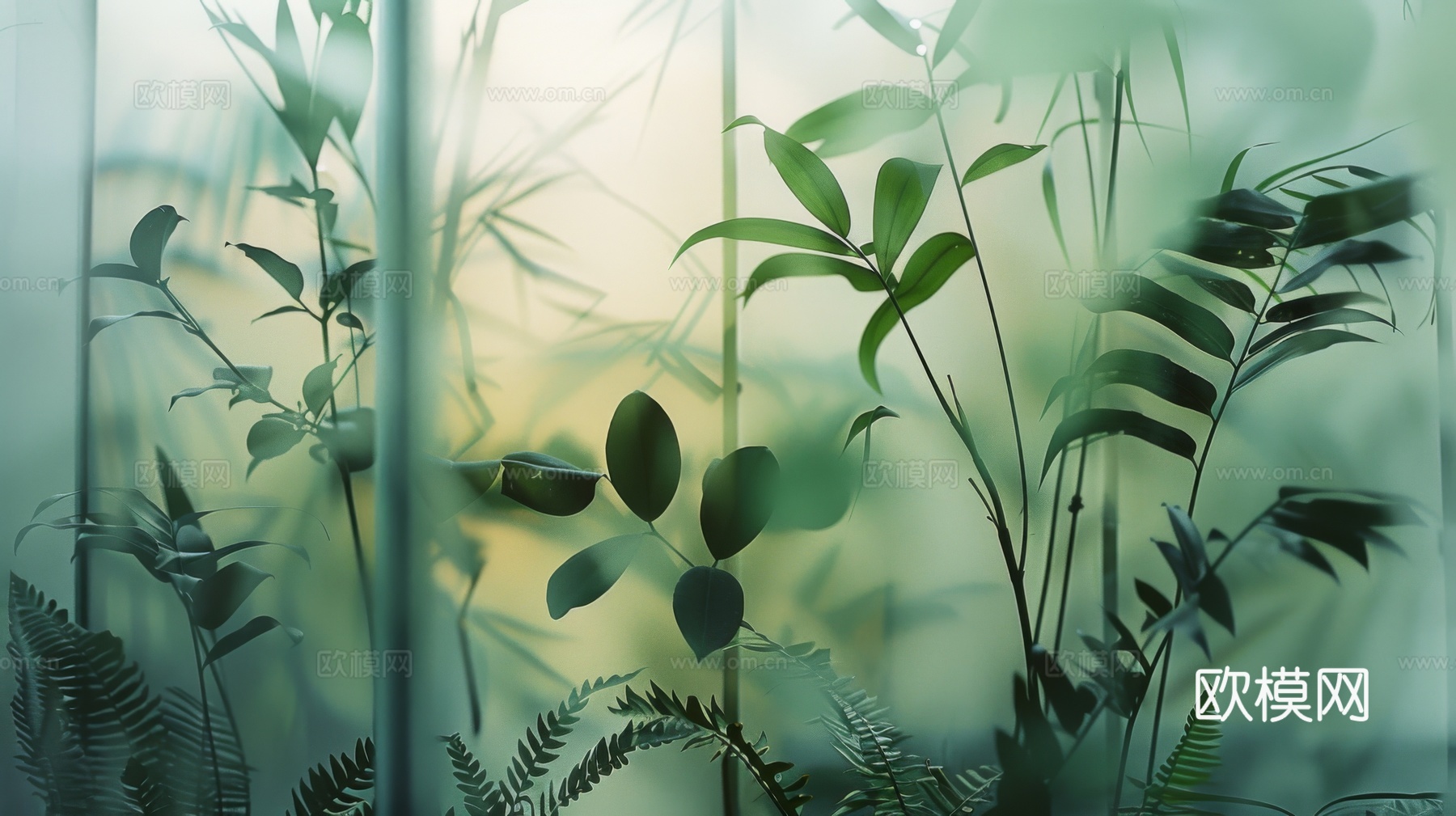 夹丝磨砂玻璃幕墙植物隔断