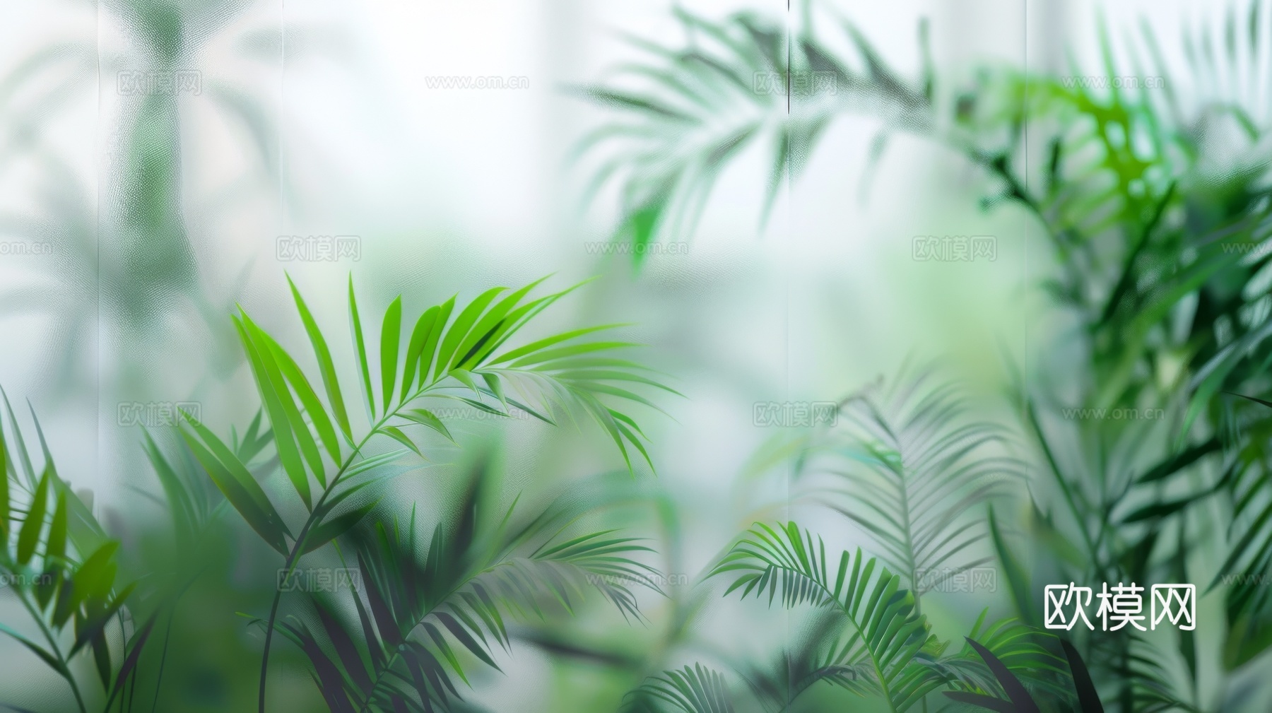 夹丝磨砂玻璃幕墙植物隔断下载（渲染图7）