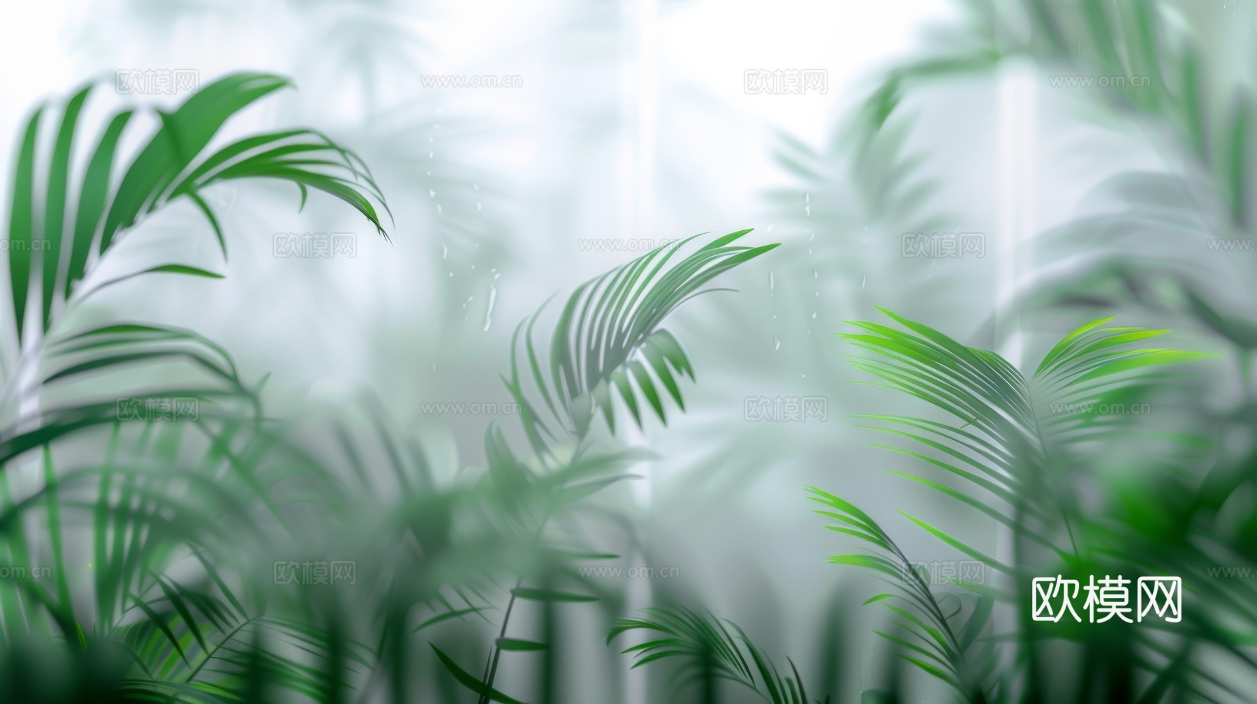 夹丝磨砂玻璃幕墙植物隔断