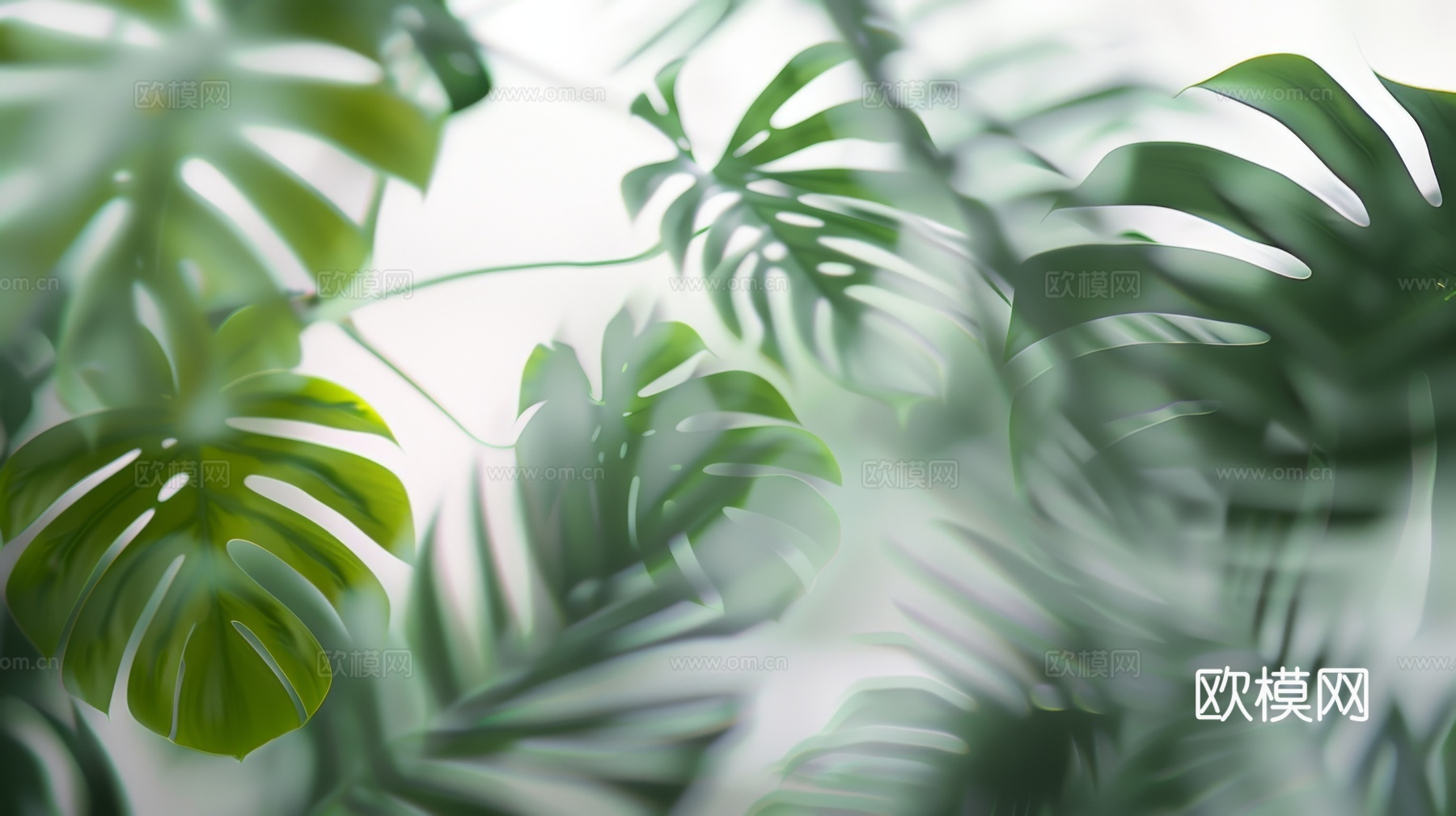 夹丝磨砂玻璃幕墙植物隔断