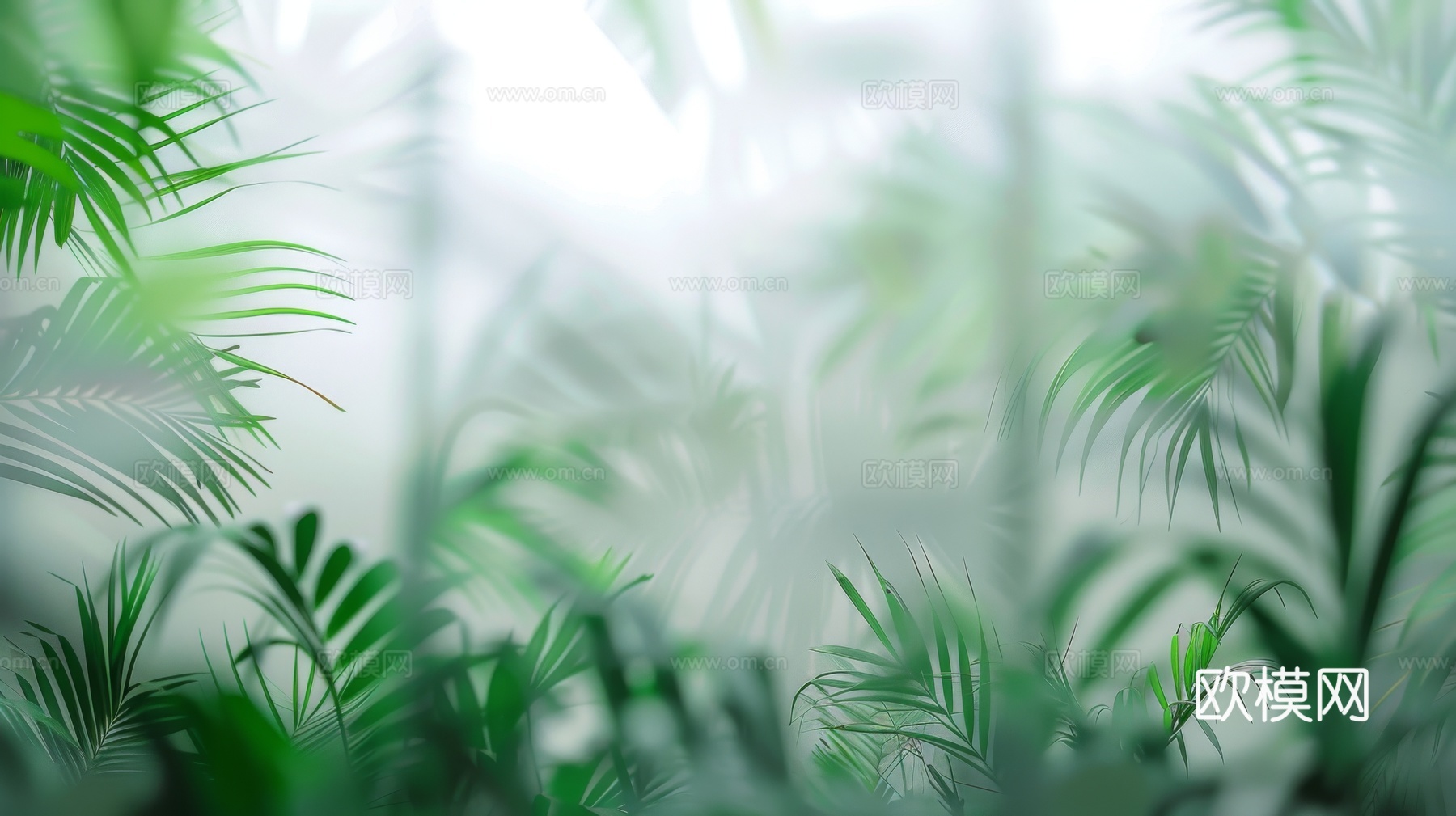 夹丝磨砂玻璃幕墙植物隔断