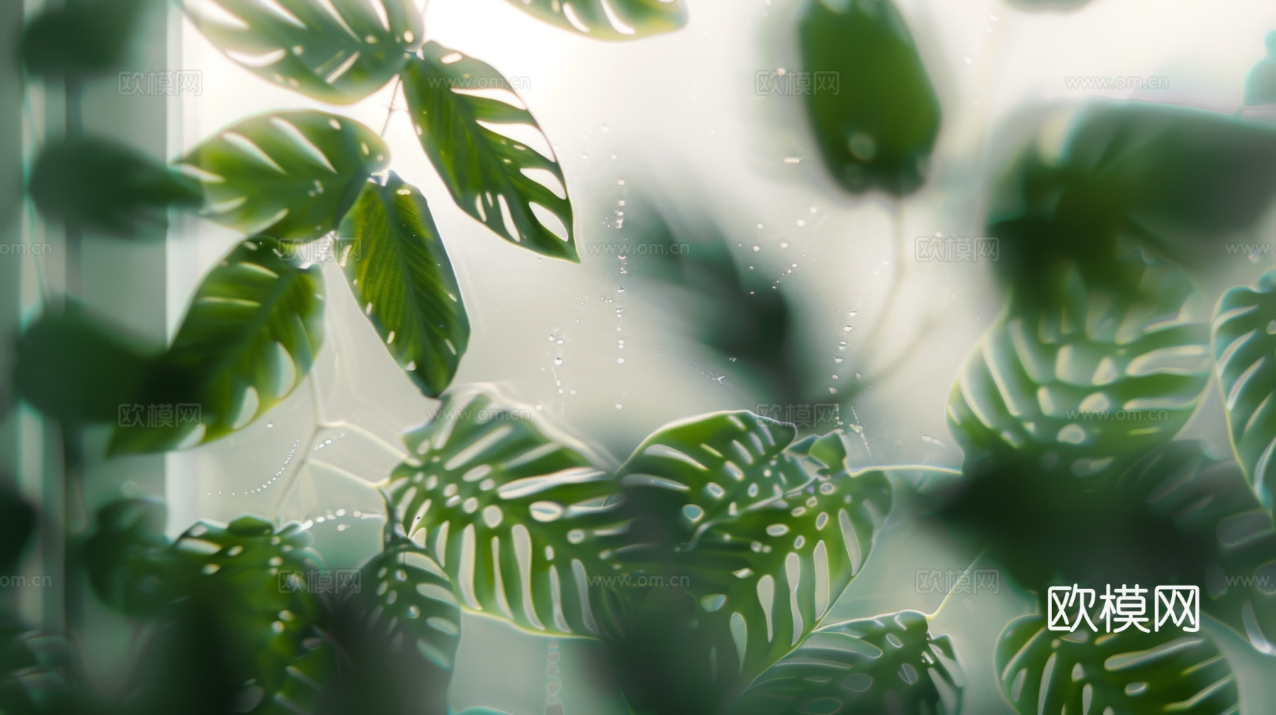 夹丝磨砂玻璃幕墙植物隔断下载（渲染图8）