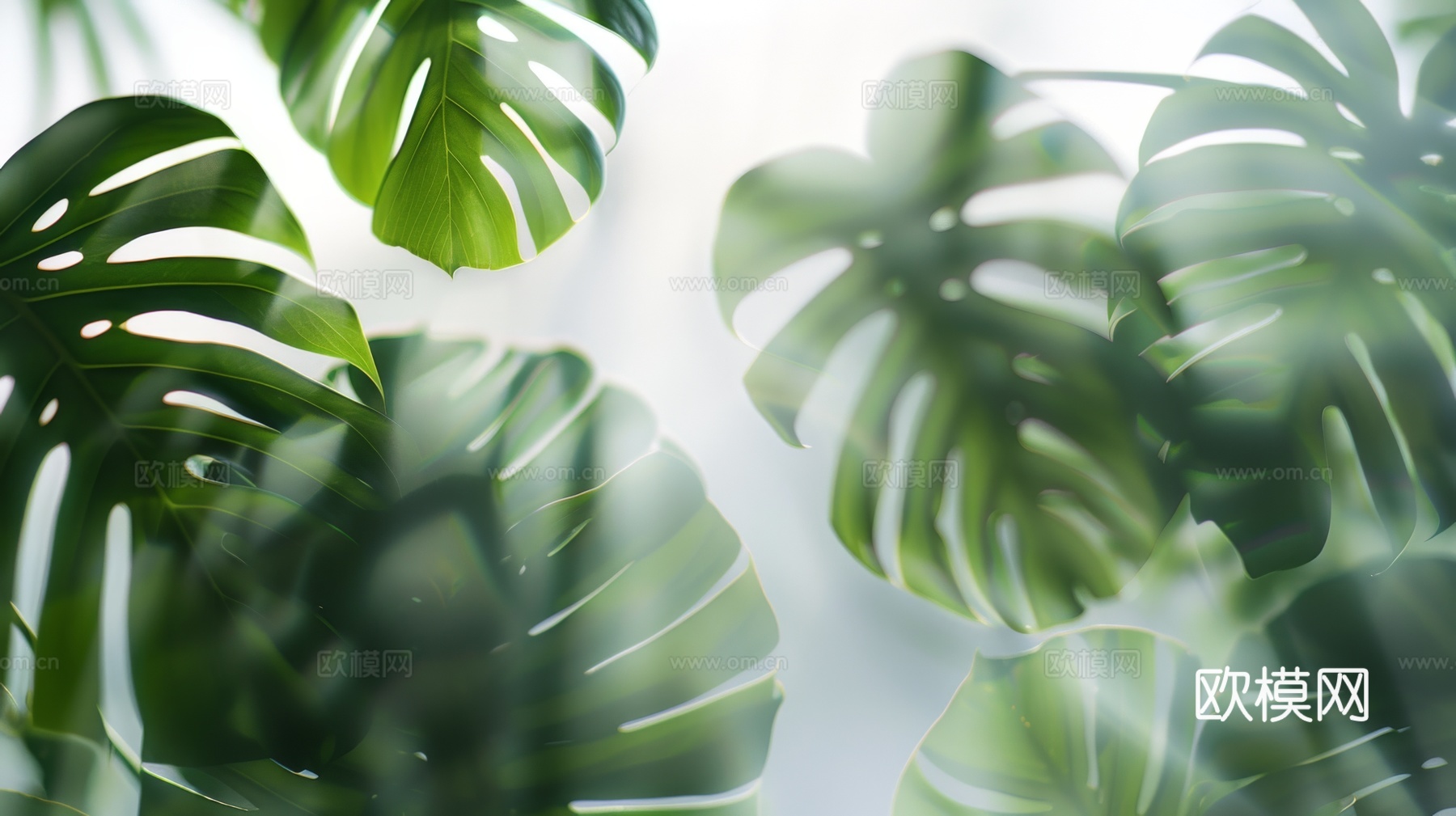 夹丝磨砂玻璃幕墙植物隔断下载（渲染图1）