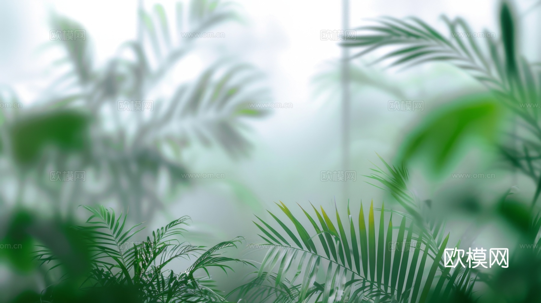 夹丝磨砂玻璃幕墙植物隔断