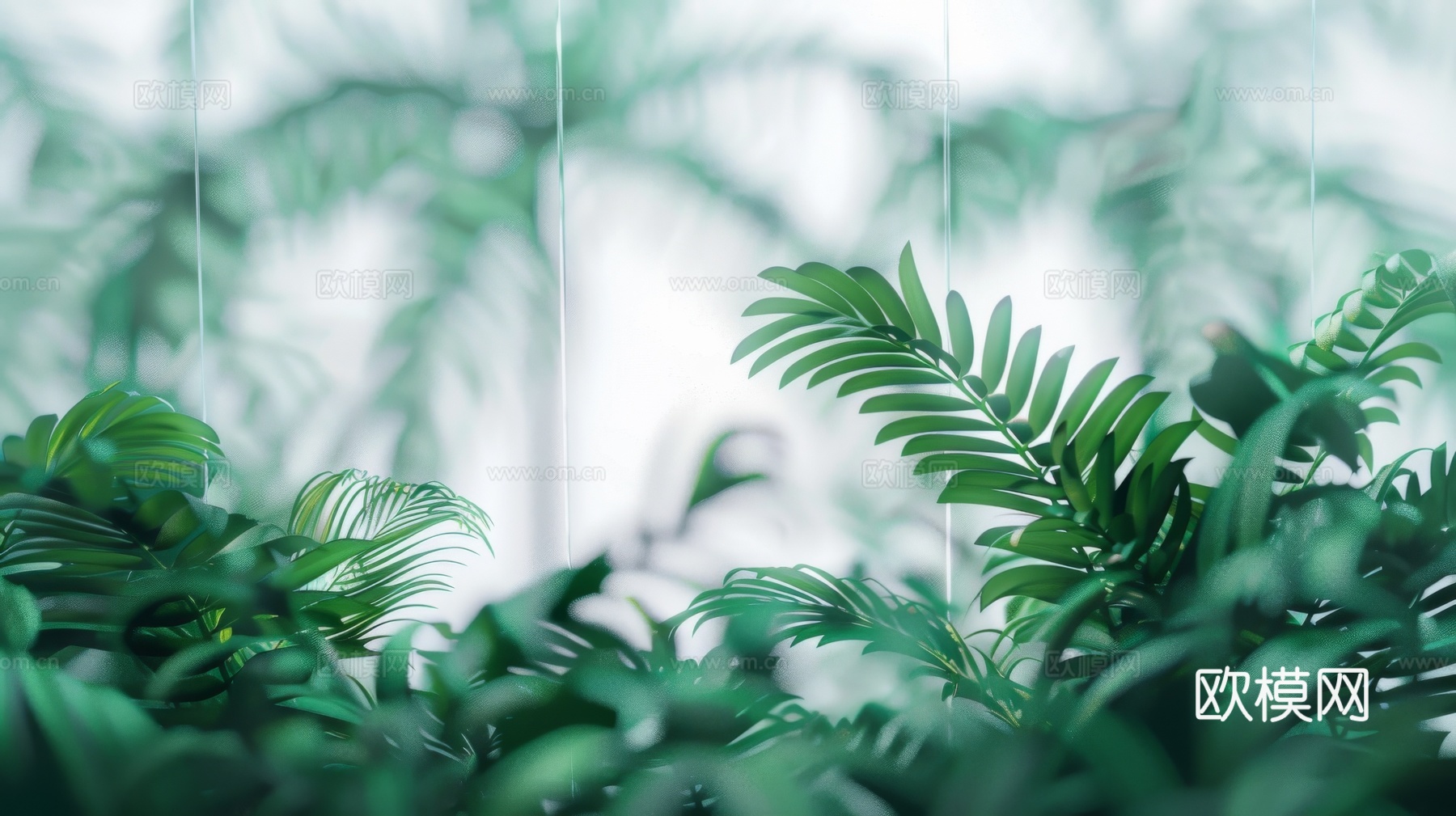 夹丝磨砂玻璃幕墙植物隔断