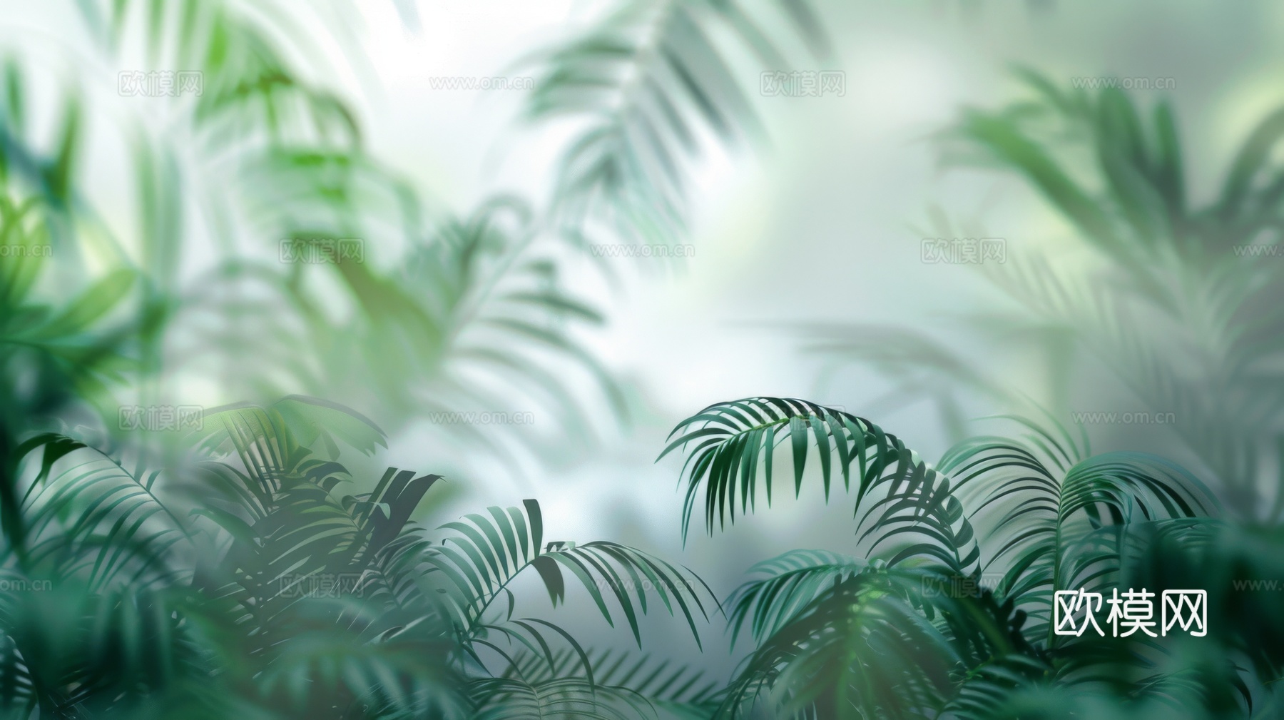 夹丝磨砂玻璃幕墙植物隔断下载（渲染图5）